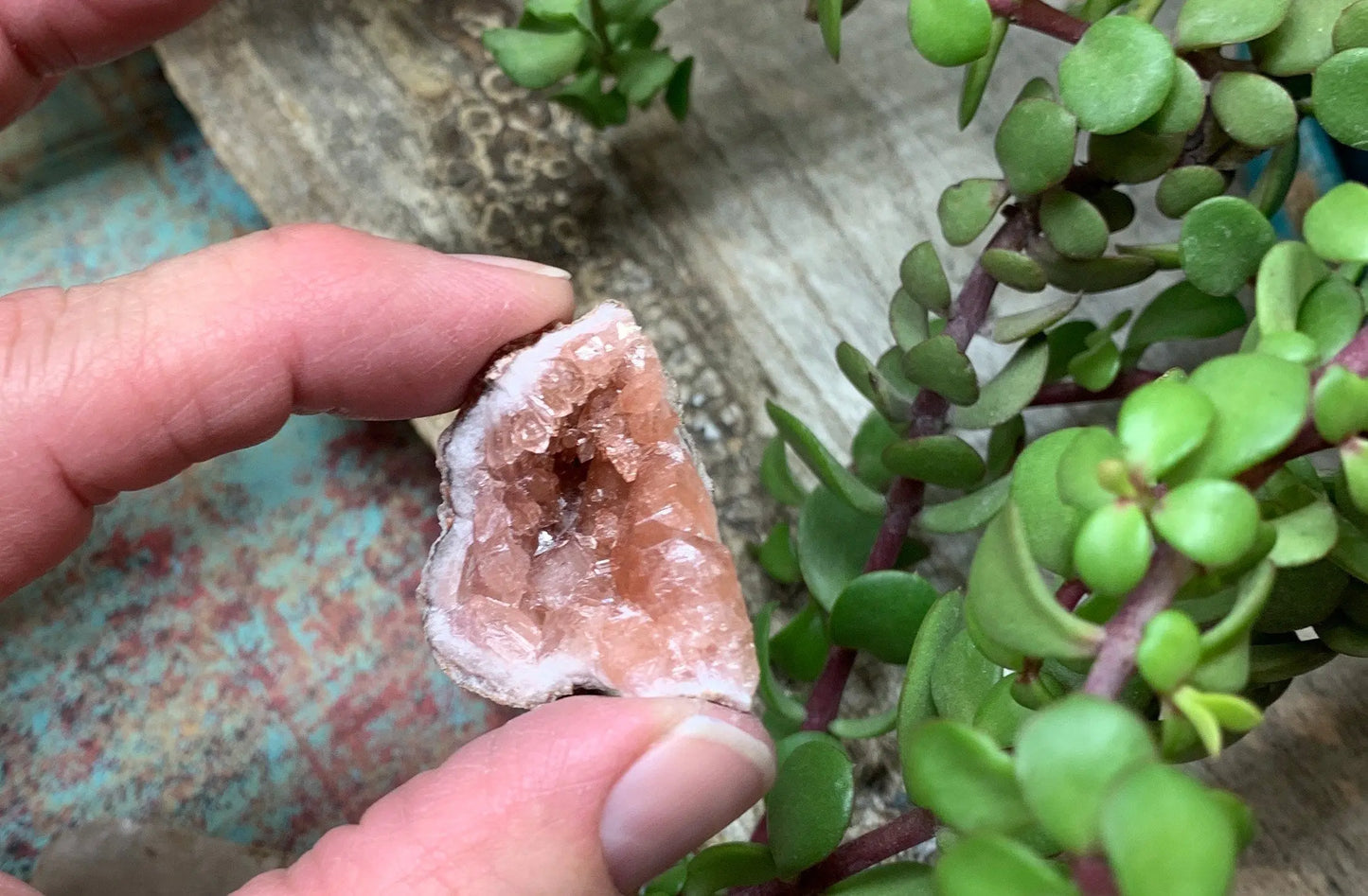 Pink Amethyst Choique Mine ( Approx. 1 3/4”) Pehuenches - Neuquén Argentina, Heart Healing, Gift Item CRY-0298 Shop Wholesale Crystals