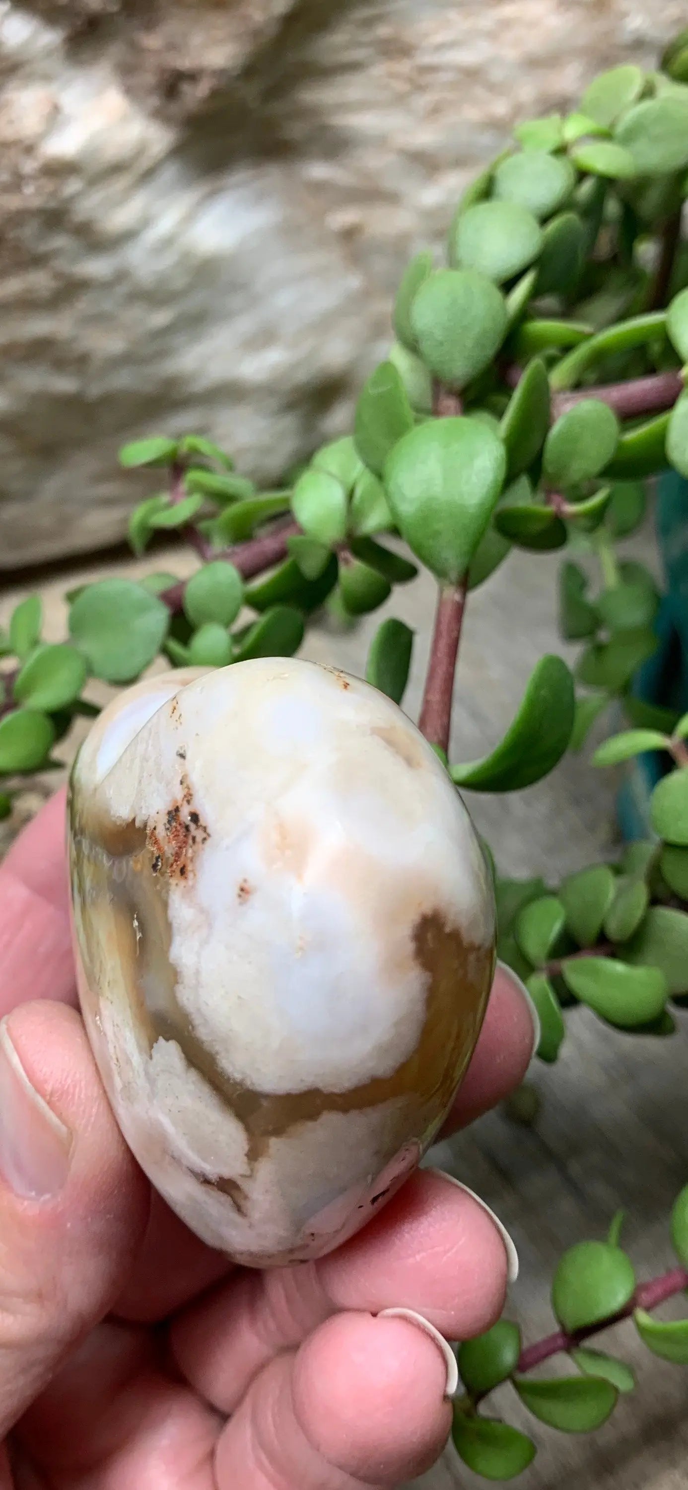 Flower Agate Cherry Blossim Heart , Supply for Crystal Grid, Home Decor or Crafts HRT 0283 Shop Wholesale Crystals