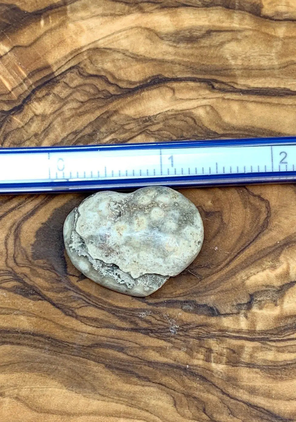 Tan Ocean Jasper Heart, Puffy Heart. (Approx 1”) BIN-0128 Shop Wholesale Crystals