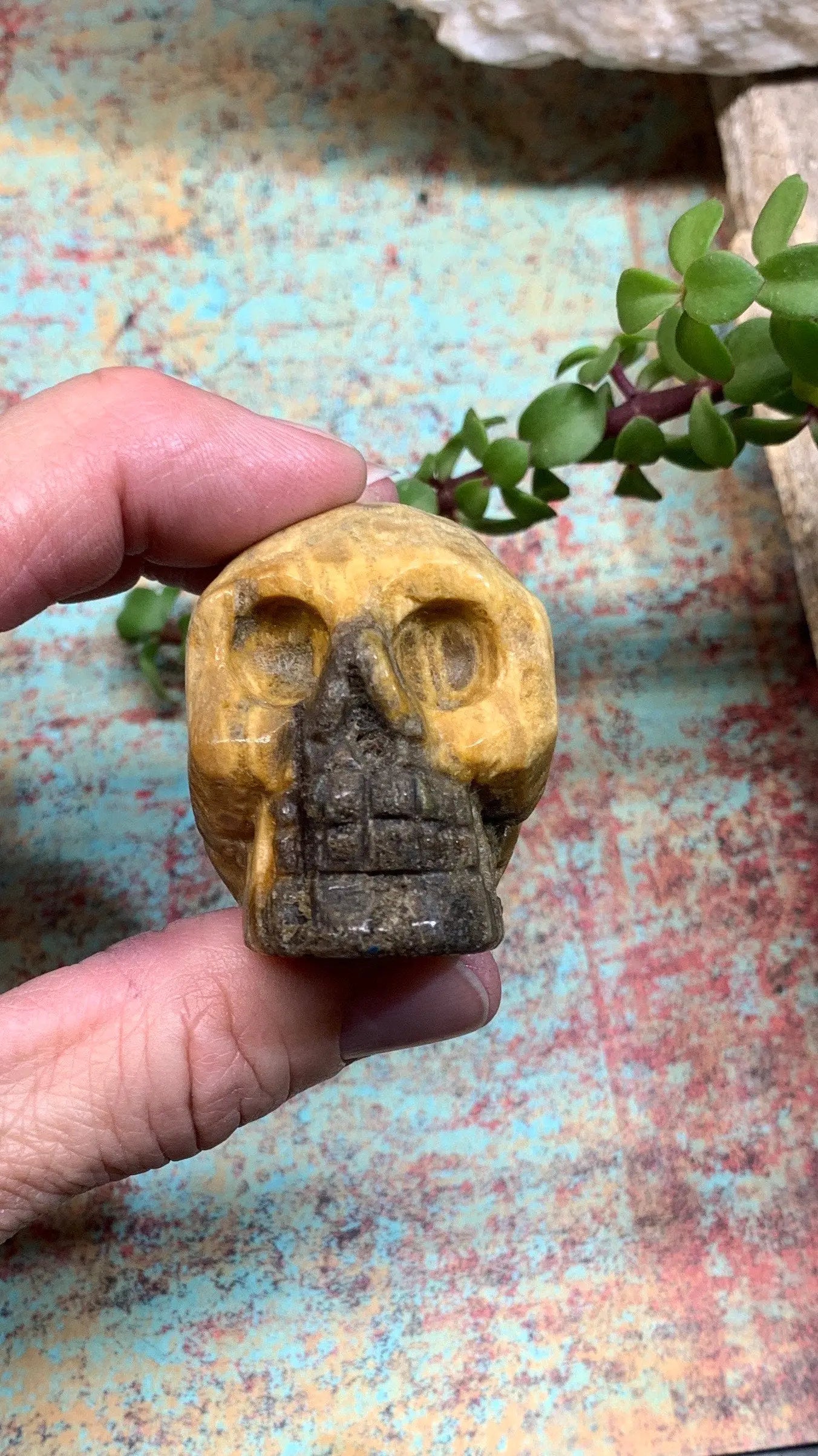 Carved Petrified Wood Skull (2" x 1 1/2 x 1 1/4"), Supply for Crystal Grid, Home Decor or Halloween, Gift Item FIG-0038 Shop Wholesale Crystals