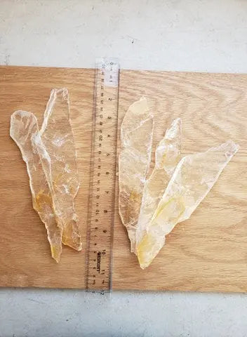 XLarge Selenite Feather Wholesale Lot (5 Piece Lot, Approx. 9" x 2 3/4"each) LOT-0007 Shop Wholesale Crystals