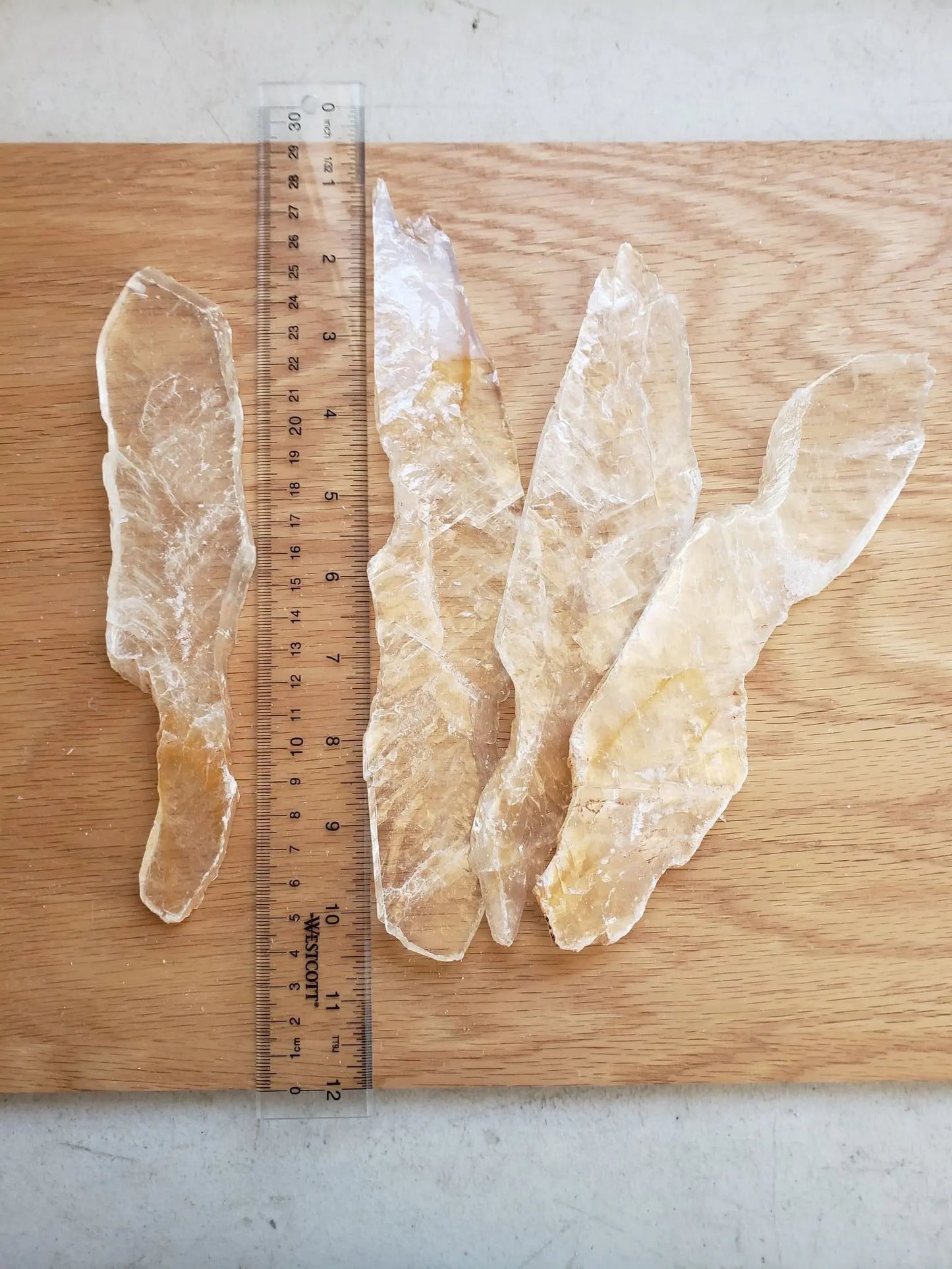 XLarge Selenite Feather Wholesale Lot (4 Piece Lot, Approx. 9" x 2 3/4"each) LOT-0006 Shop Wholesale Crystals