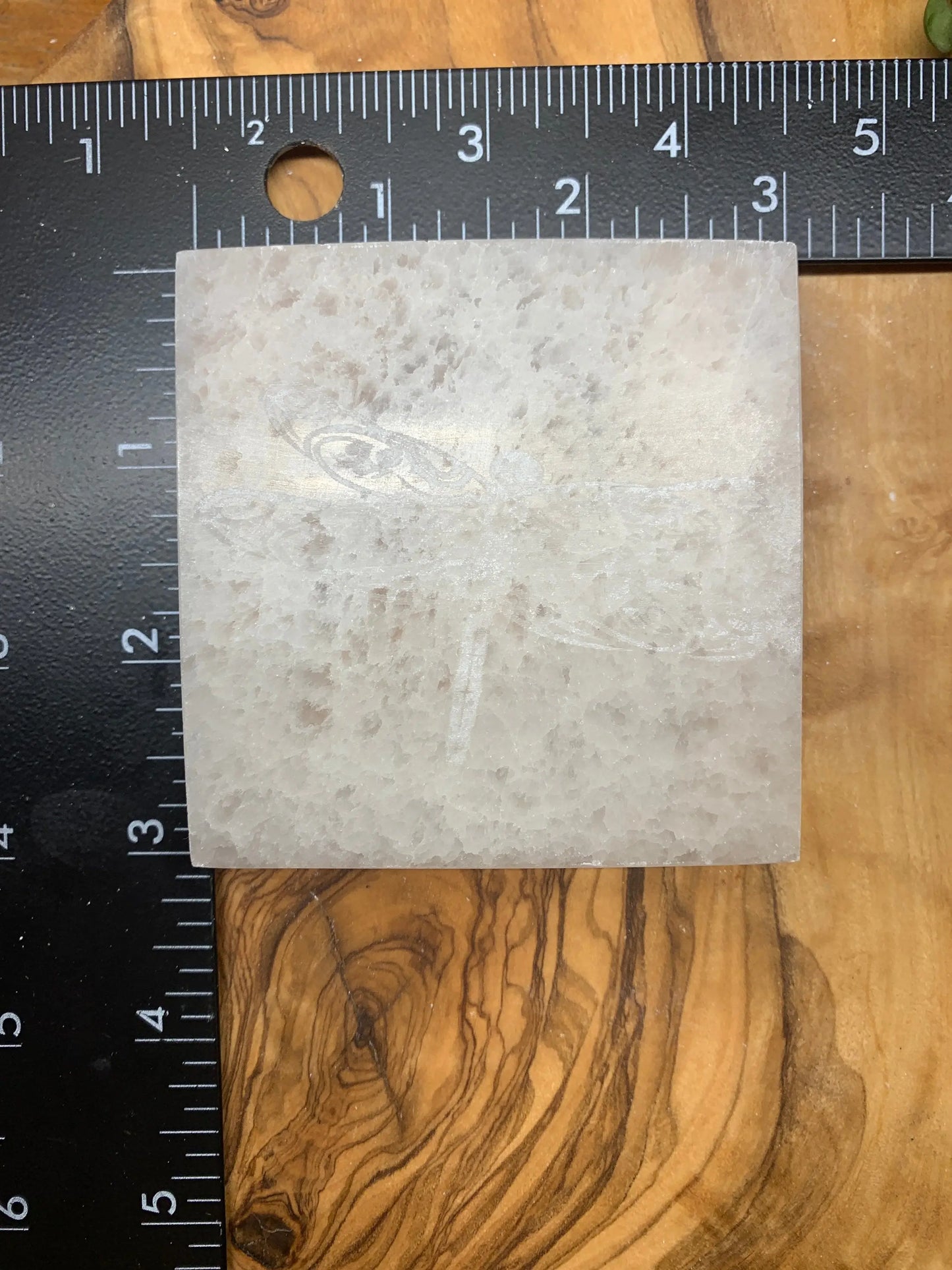 Dragonfly Etched Selenite SEI-0110 Shop Wholesale Crystals