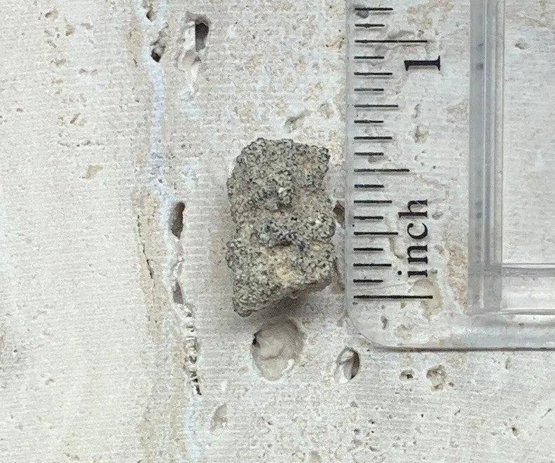 Fulgenite Lightning Strike Stone RAW-0092 Shop Wholesale Crystals