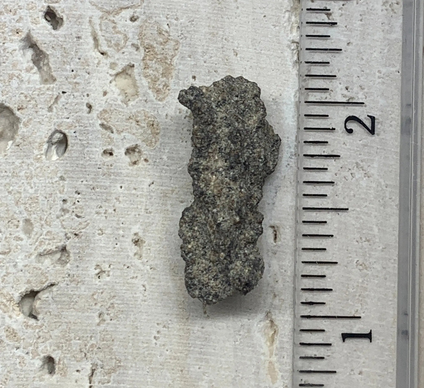 Fulgenite Lightning Stone RAW-0080 Shop Wholesale Crystals