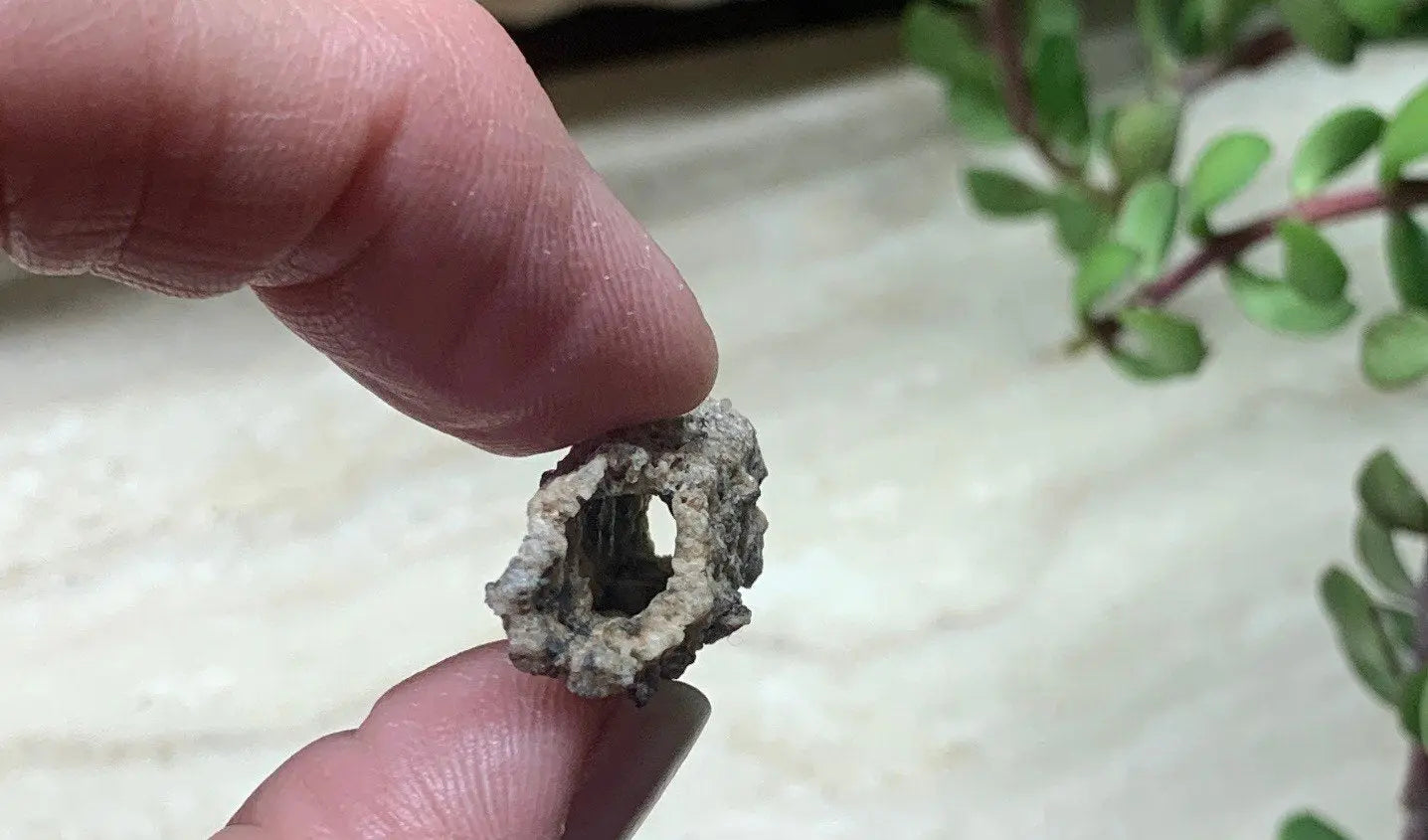 Fulgenite Lightning Strike Stone RAW-0059 Shop Wholesale Crystals