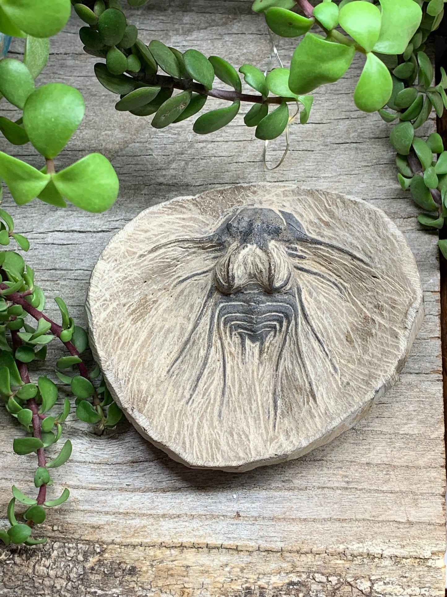 Trilobite Fossil FRE-0101 Shop Wholesale Crystals