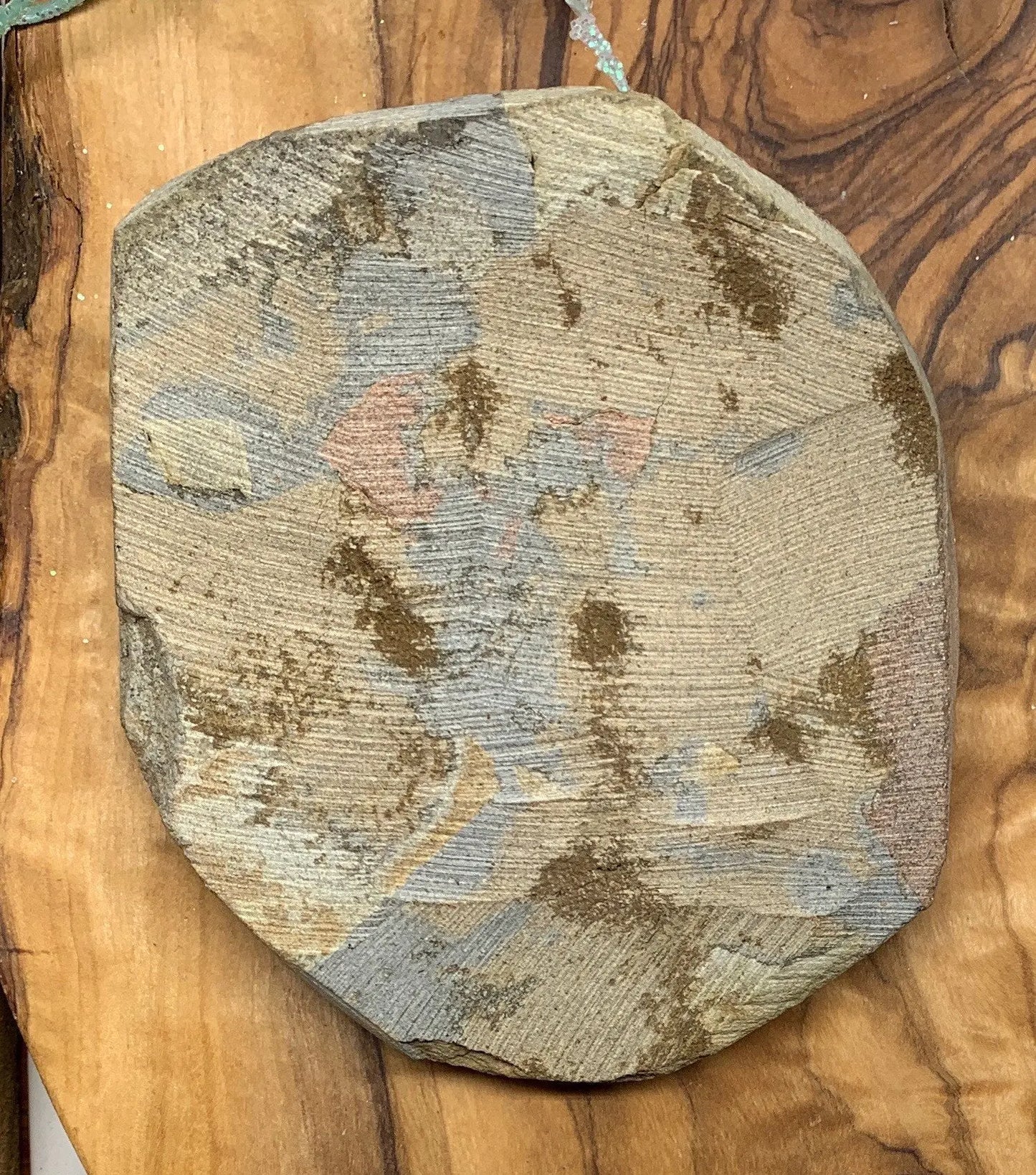 Trilobite Fossil FRE-0088 Shop Wholesale Crystals