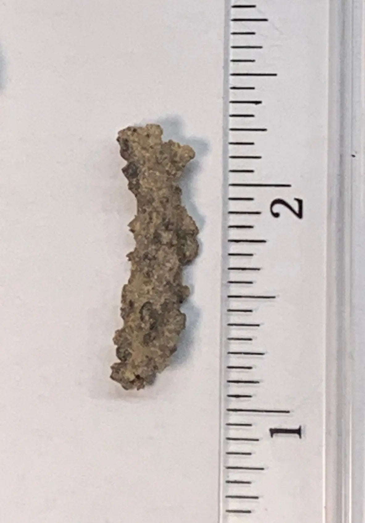 Fulgenite Lightning Stone RAW-0223 Shop Wholesale Crystals