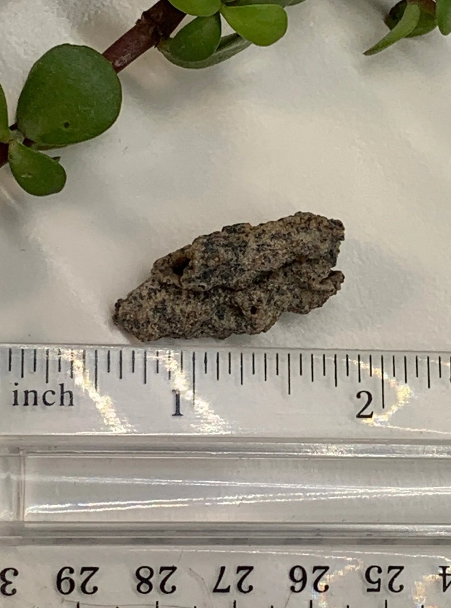 Fulgenite Lightning Stone RAW-0276 Shop Wholesale Crystals