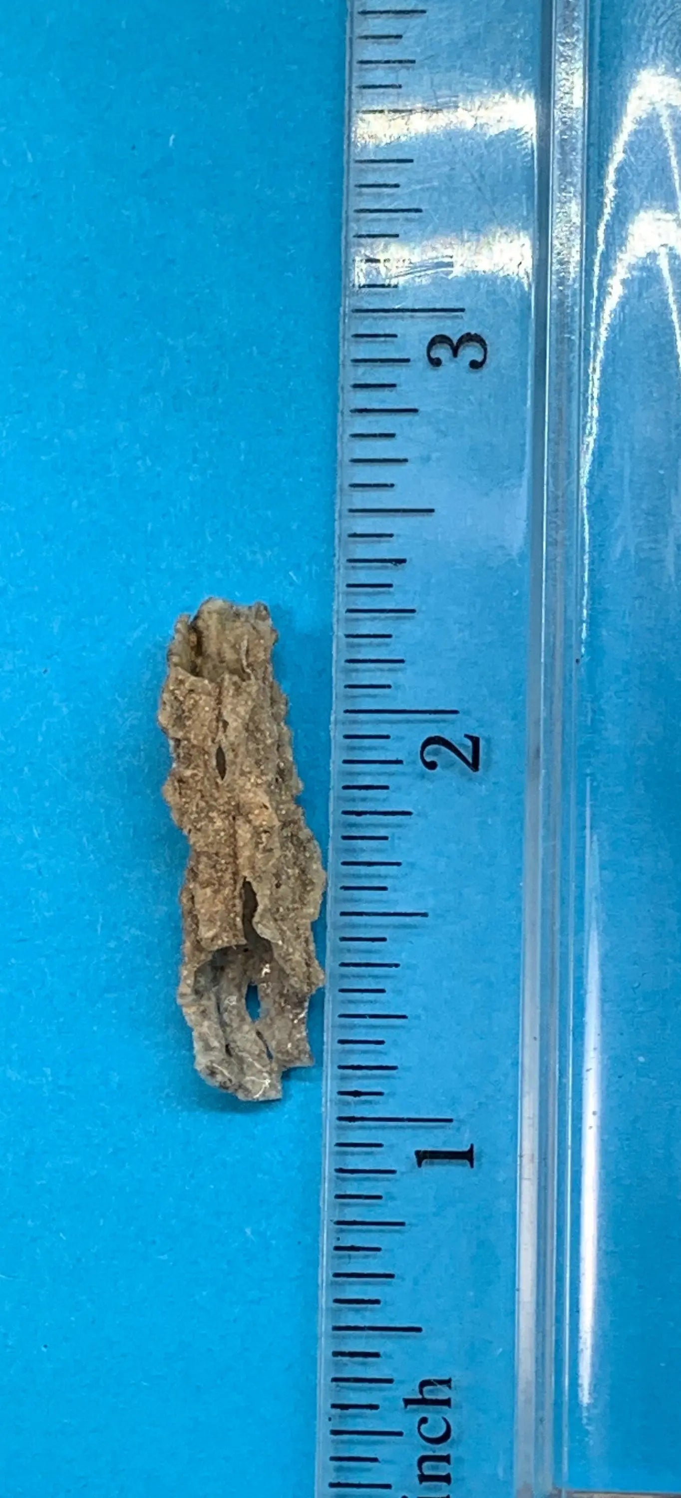 Fulgenite Lightning Stone RAW-0267 Shop Wholesale Crystals