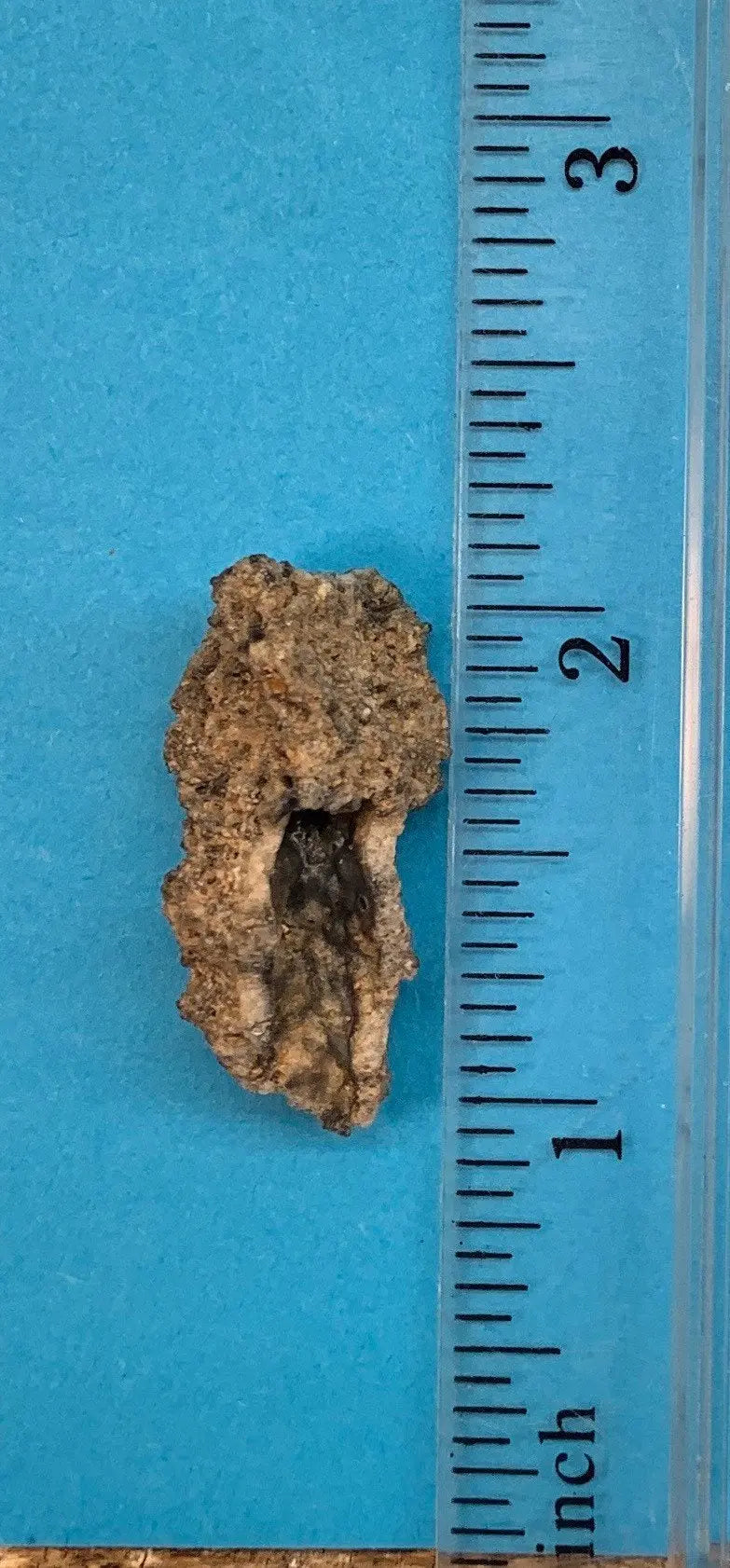 Fulgenite Lightning Stone RAW-0268 Shop Wholesale Crystals