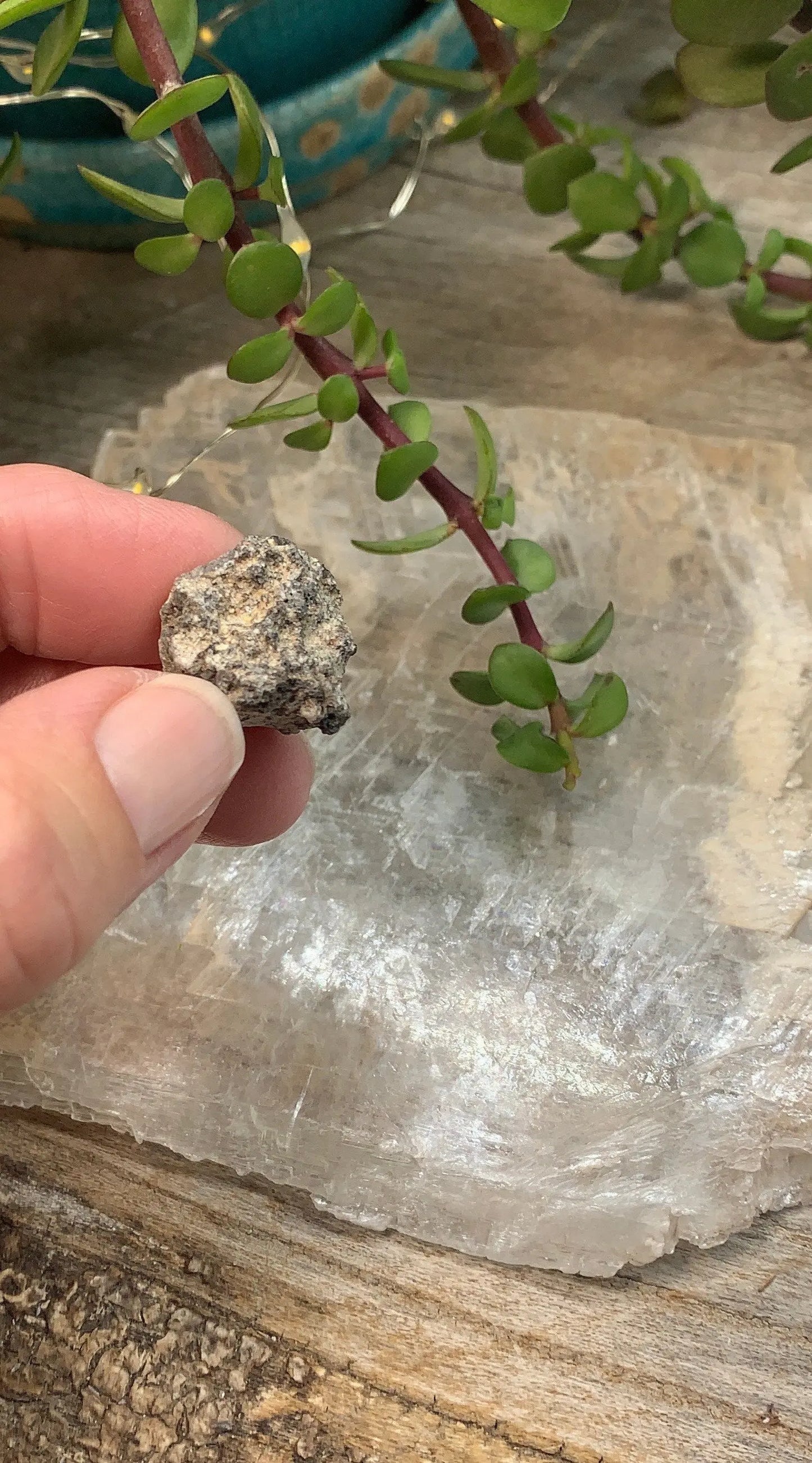 Fulgenite Lightning Stone RAW-0252 Shop Wholesale Crystals