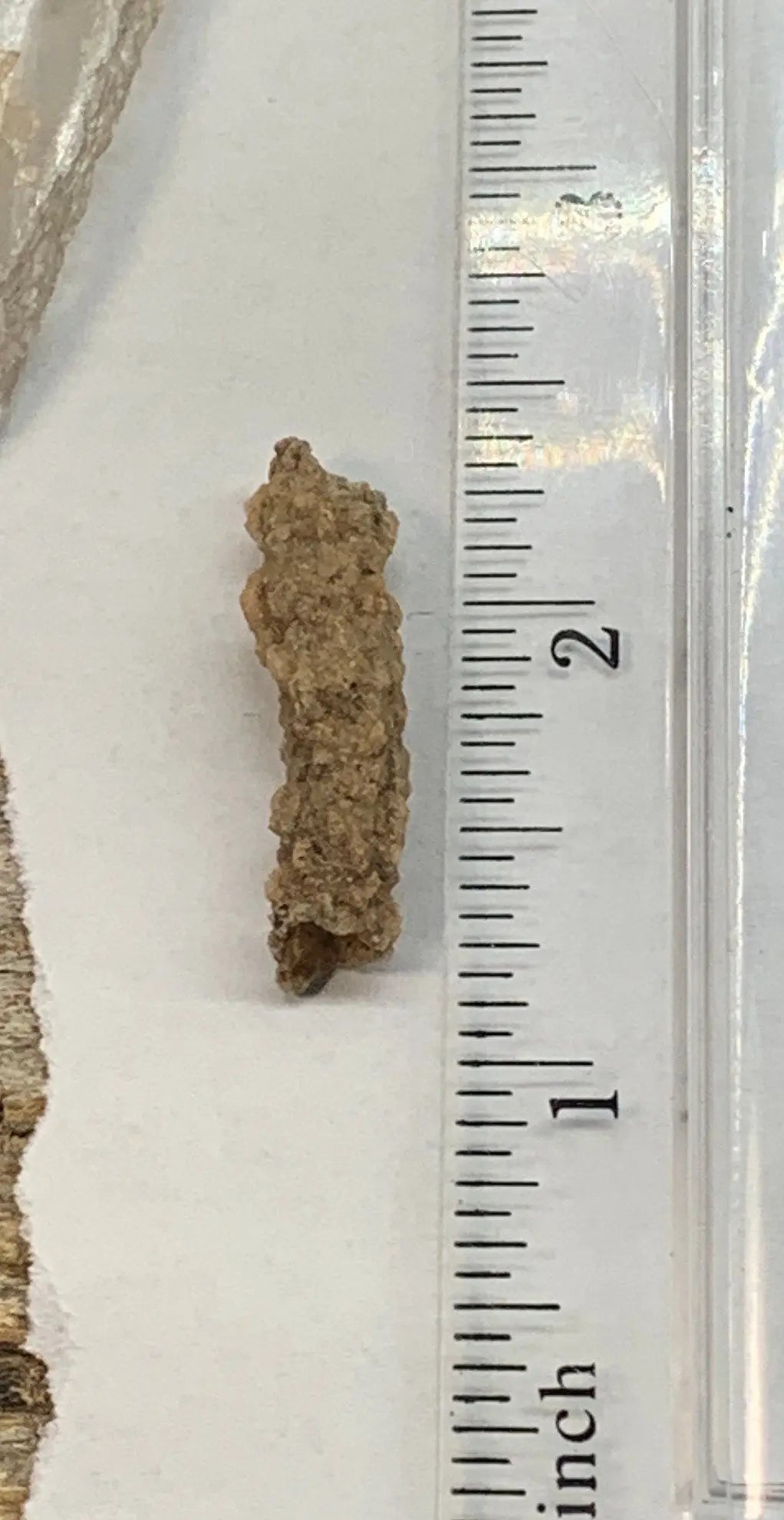 Fulgenite Lightning Stone RAW-0254 Shop Wholesale Crystals