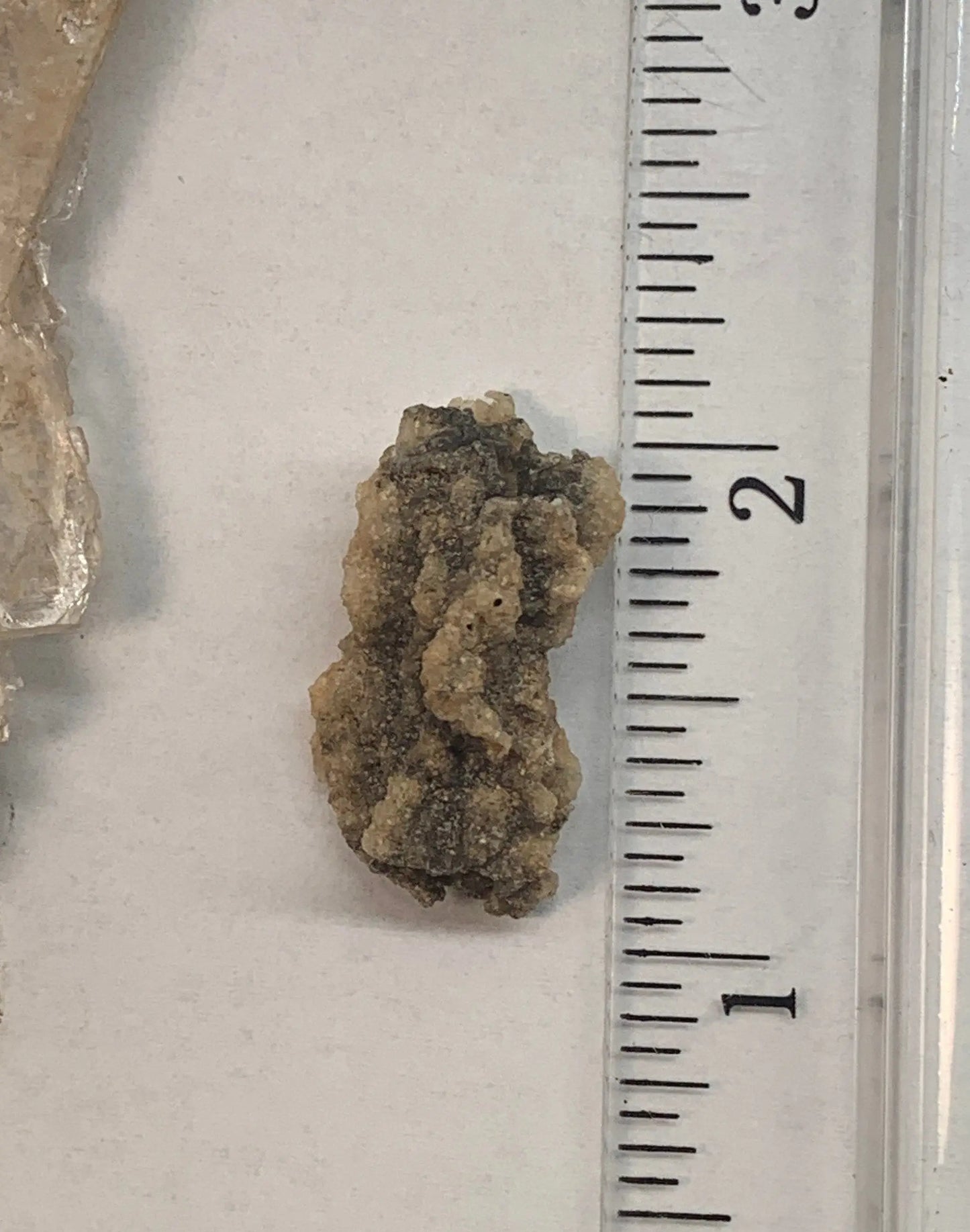 Fulgenite Lightning Stone RAW-0215 Shop Wholesale Crystals
