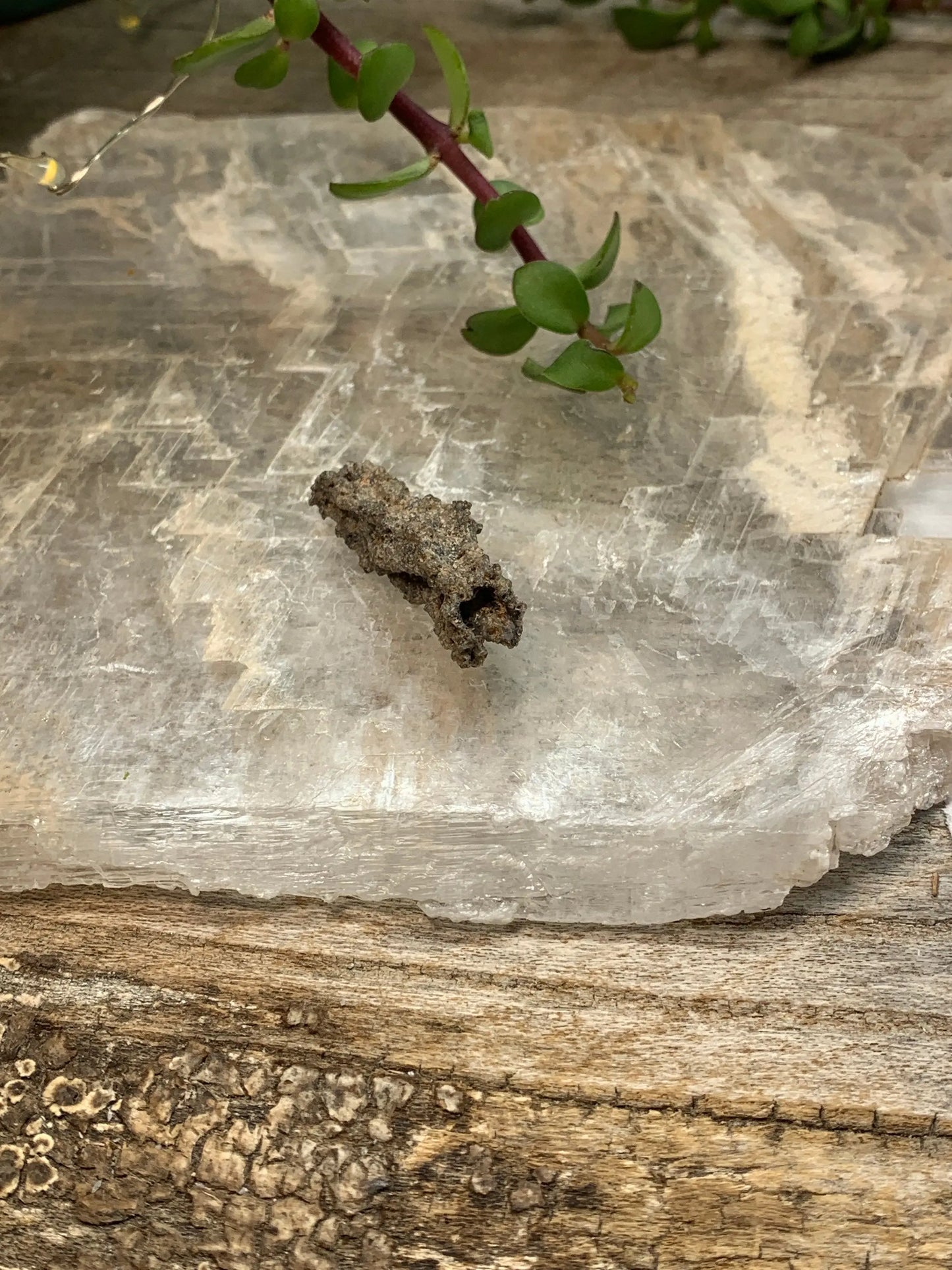 Fulgenite Lightning Stone RAW-0145 Shop Wholesale Crystals
