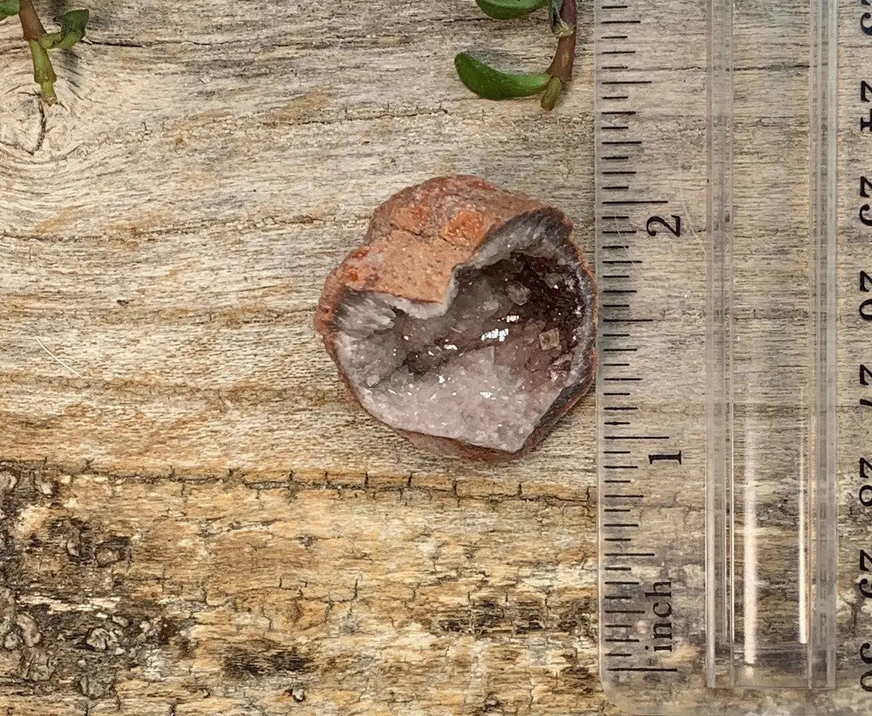 Pink Amethyst Geode CRY-0739 Shop Wholesale Crystals