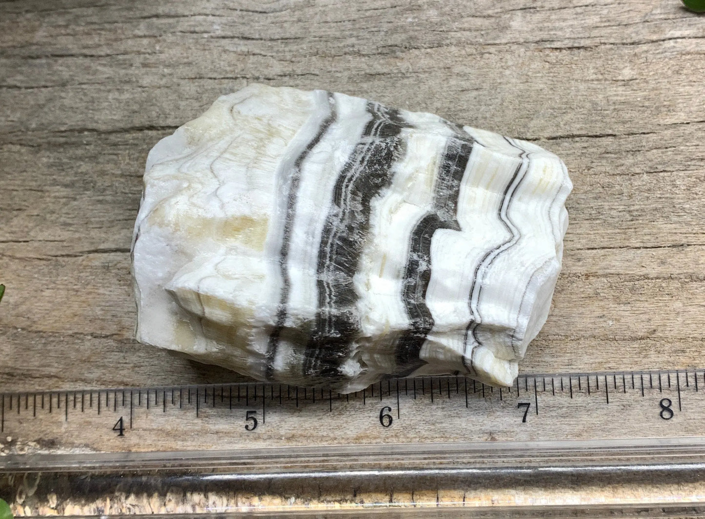 Raw Zebra Stone RAW-0309 Shop Wholesale Crystals