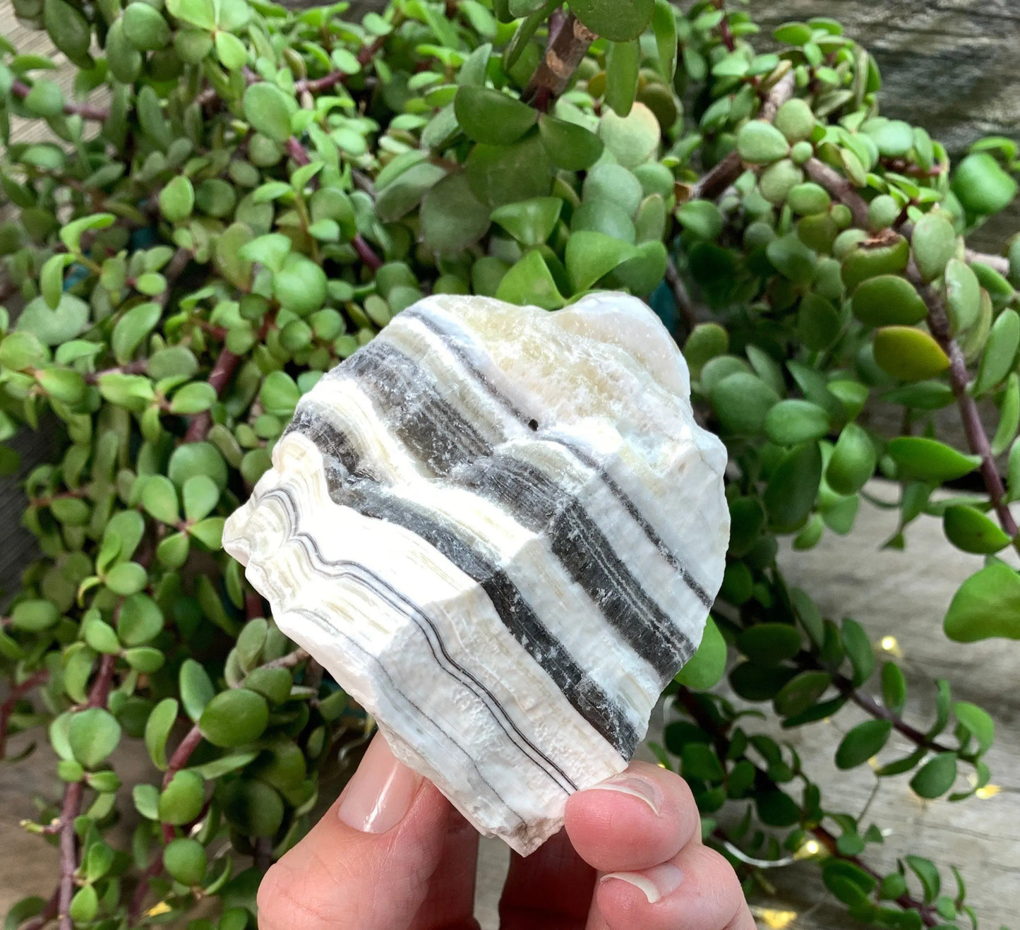 Raw Zebra Stone RAW-0327 Shop Wholesale Crystals