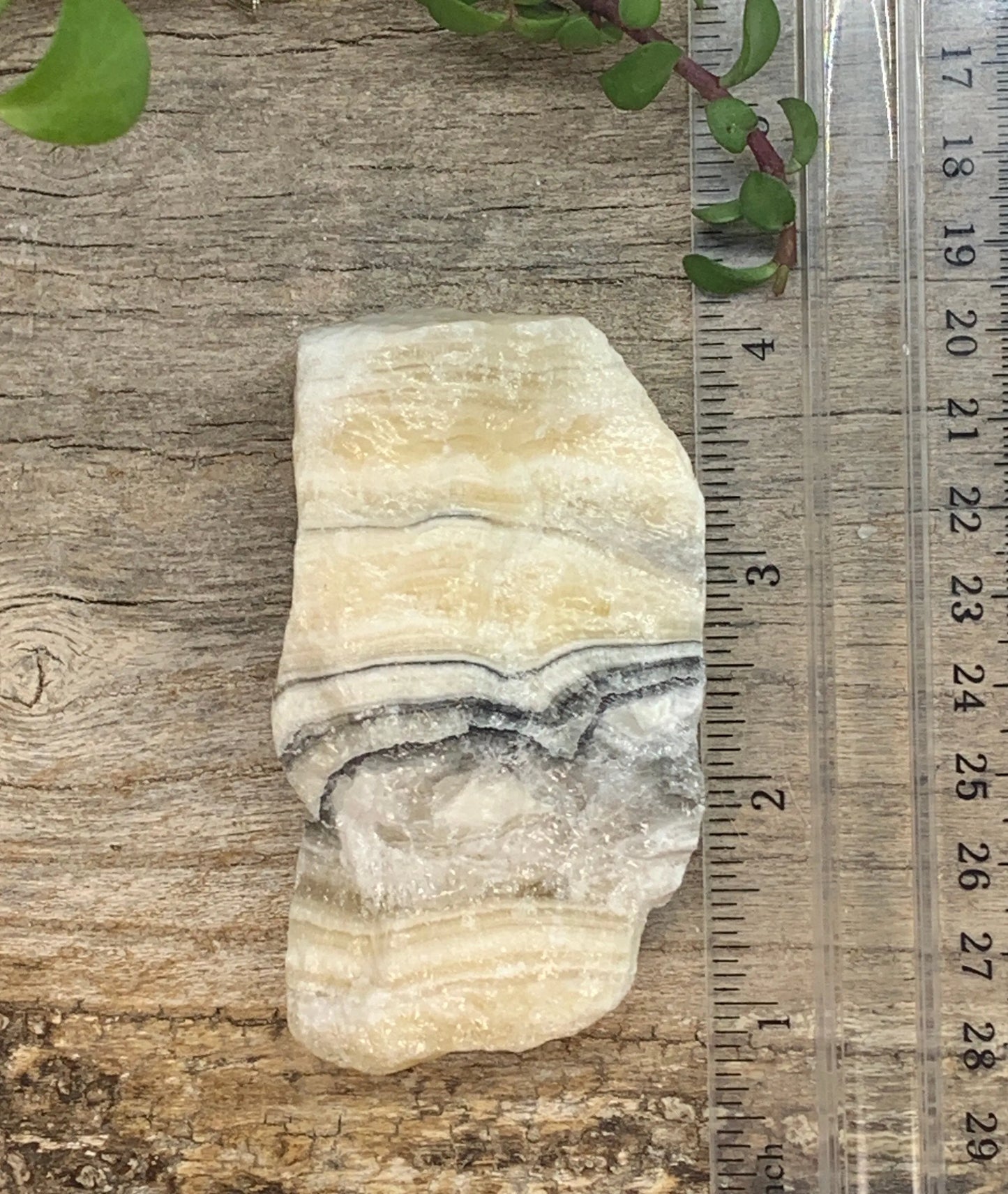 Raw Zebra Stone RAW-0288 Shop Wholesale Crystals