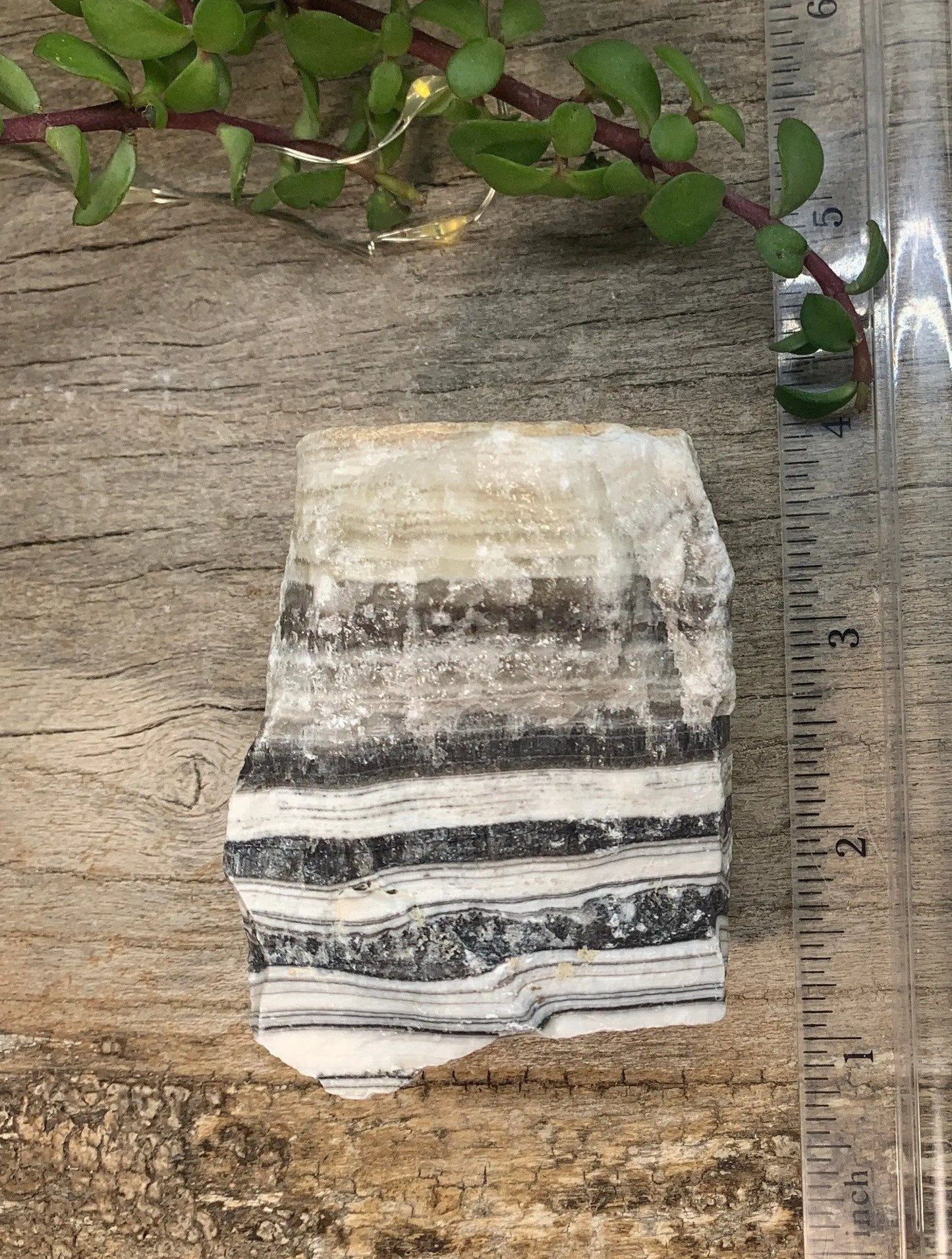 Raw Zebra Stone RAW-0284 Shop Wholesale Crystals