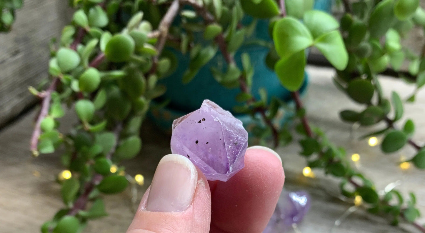 Amethyst Crystal Point (approx. 3/4" - 1 1/4") 0727 Shop Wholesale Crystals