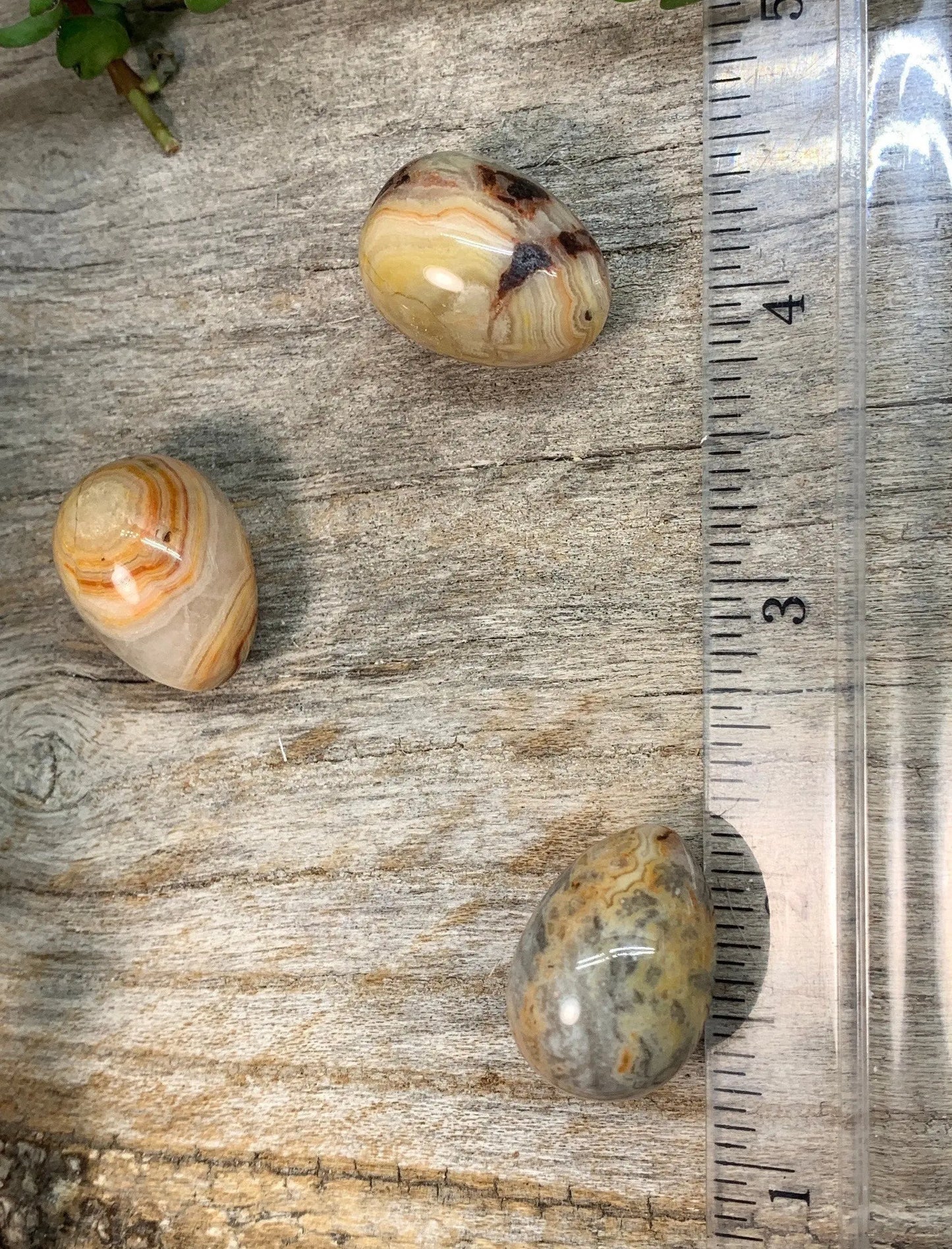 Crazy Lace Agate Egg 3/4” 0425 - Shop Wholesale Crystals