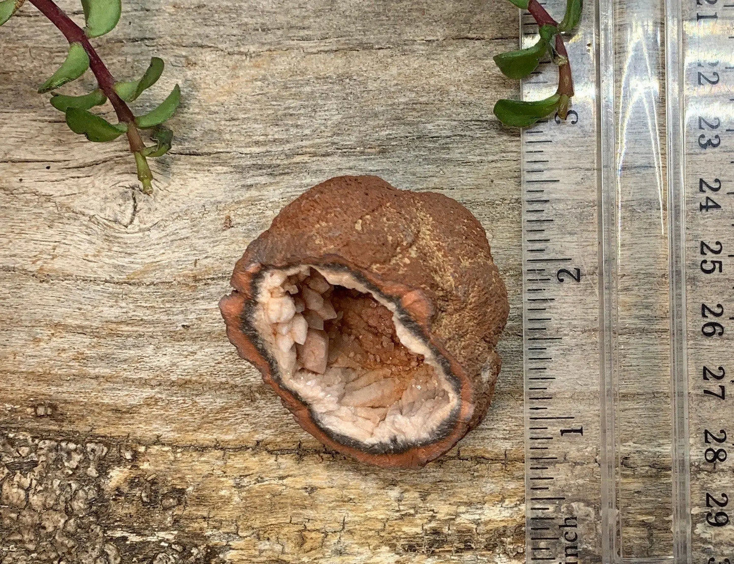 Pink Amethyst Geode CRY-0873 Shop Wholesale Crystals