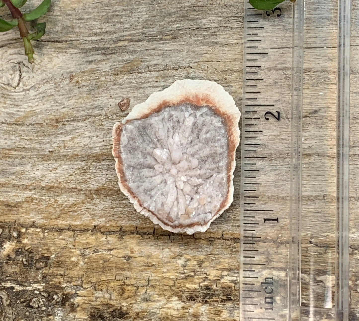 Pink Amethyst Geode CRY-0876 Shop Wholesale Crystals