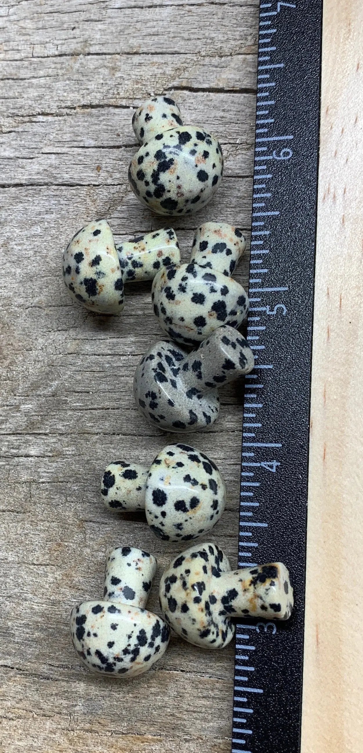 Dalmatian Jasper Mushroom (Approx. 5/8”x 3/4”) 0015 Shop Wholesale Crystals