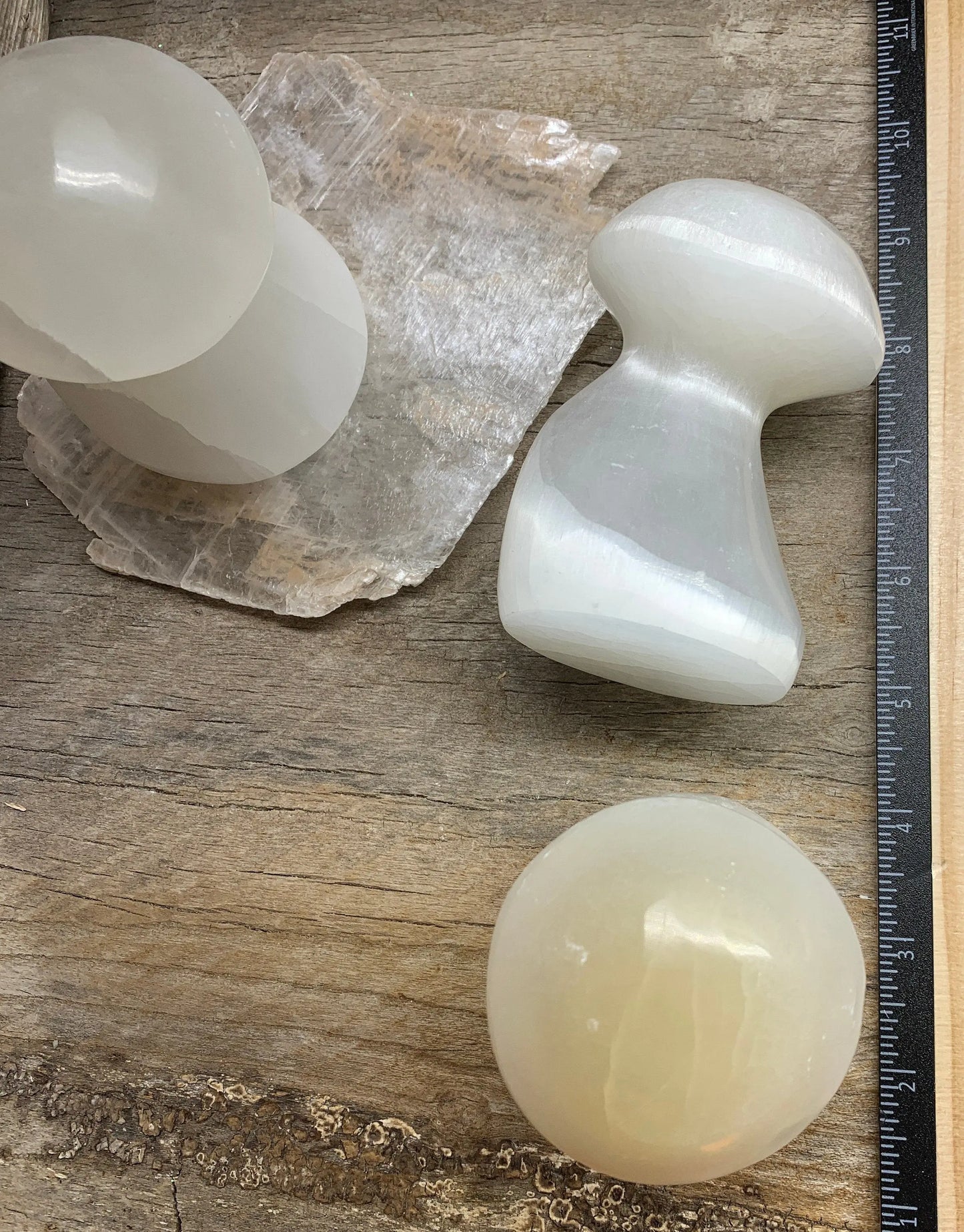 Carved Selenite Mushroom S-0065 (2 3/4”- 4”) Shop Wholesale Crystals