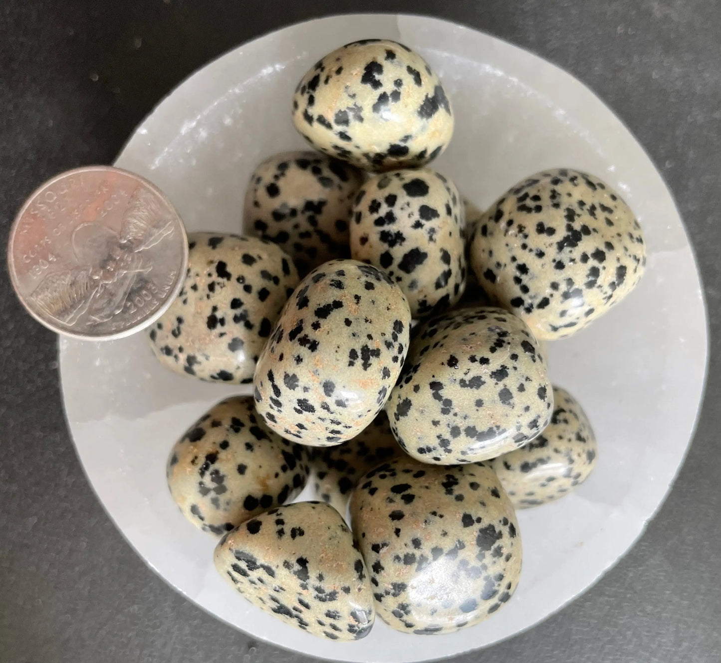 Dalmatian Jasper Tumbled Stone, 1 Pound Bag (Approx. 20-35 mm) WT-0041-B - Shop Wholesale Crystals