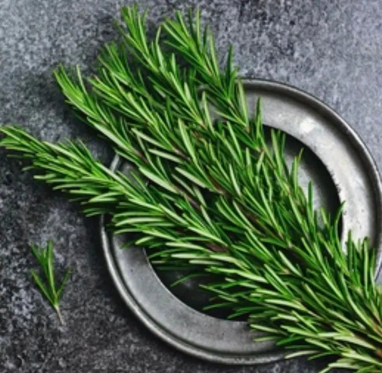 Rosemary Essential Oil 5 ml 1620 Shop Wholesale Crystals