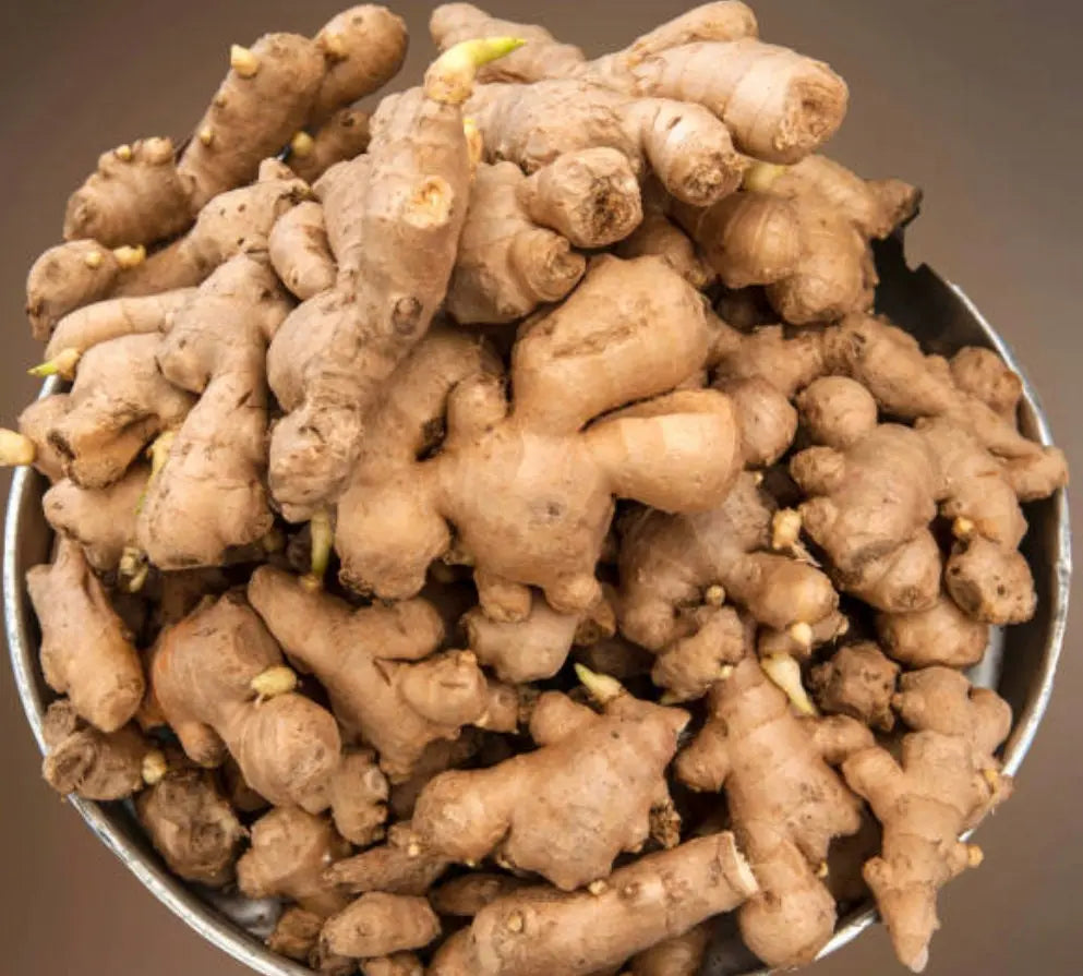 Ginger Essential Oil 5 ml 1627 Shop Wholesale Crystals