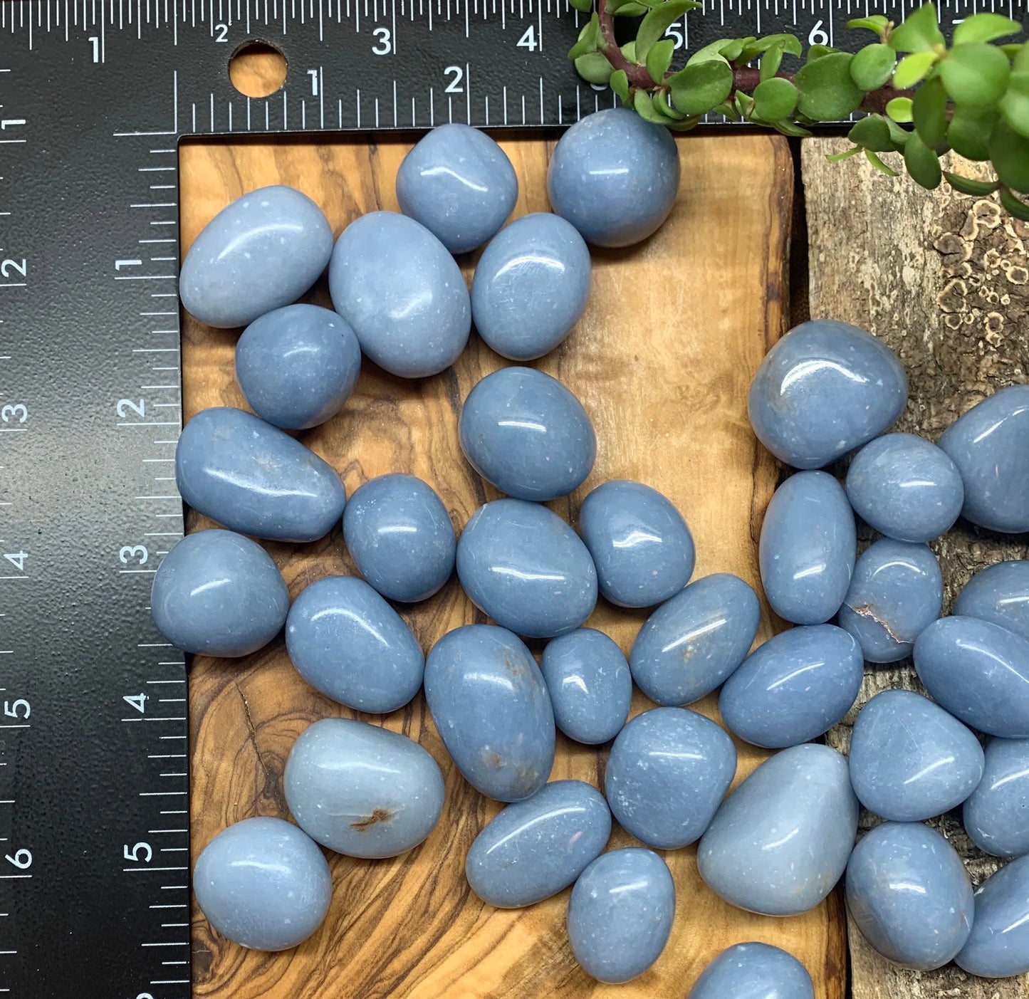 Angelite Tumble Stone 0633 Shop Wholesale Crystals