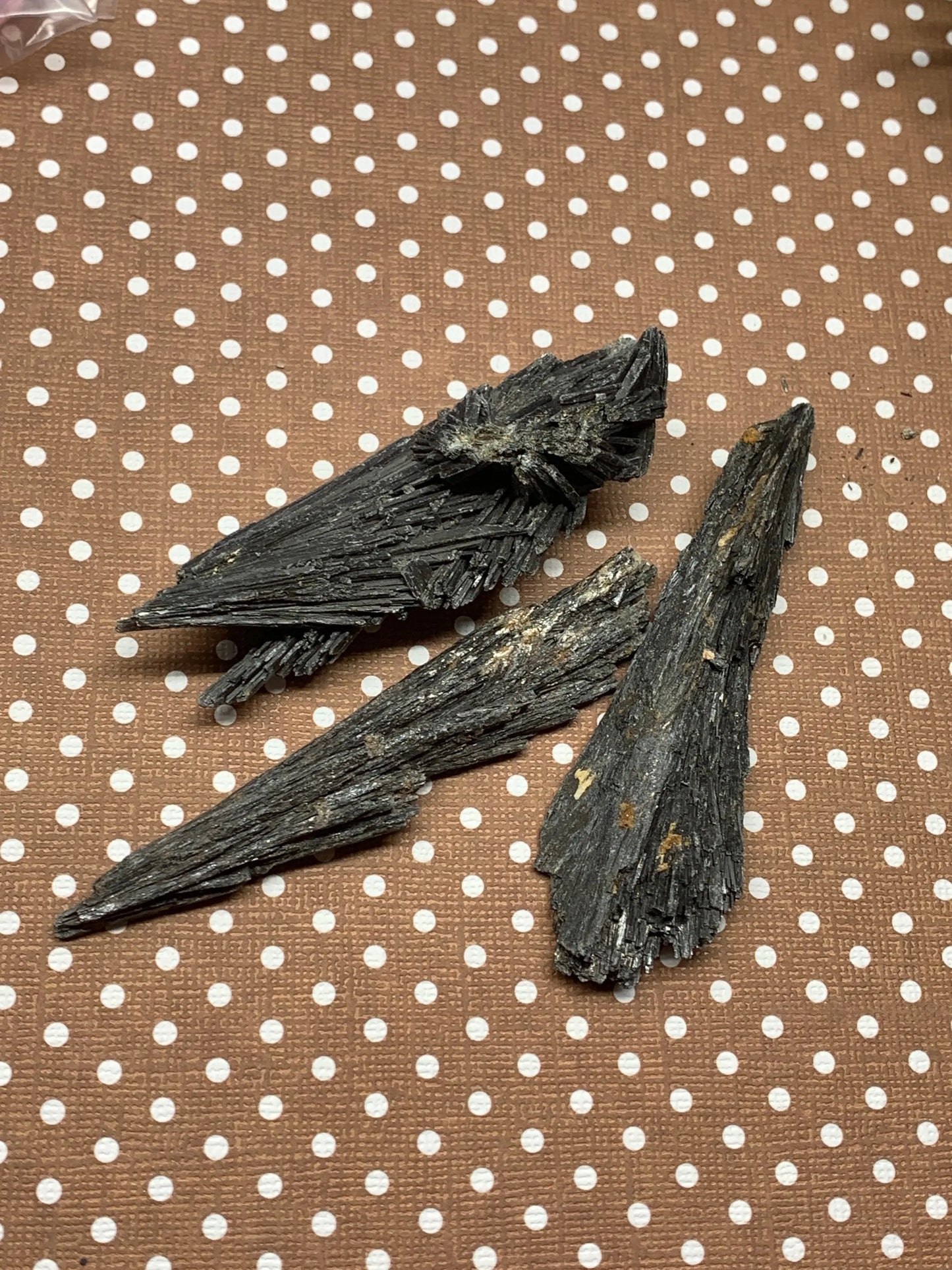 Black Kyanite Blade, Natural, Raw, Crystal (Approx. 1 1/2” - 3”) 1288 Shop Wholesale Crystals