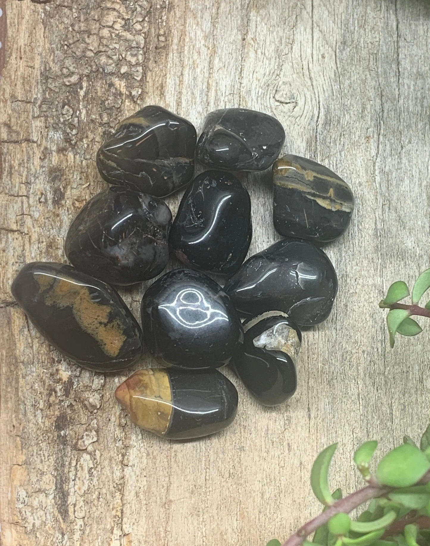 Black Onyx Tumbled Stone (Approx. 1" - 1 1/2") BIN-1387 Shop Wholesale Crystals