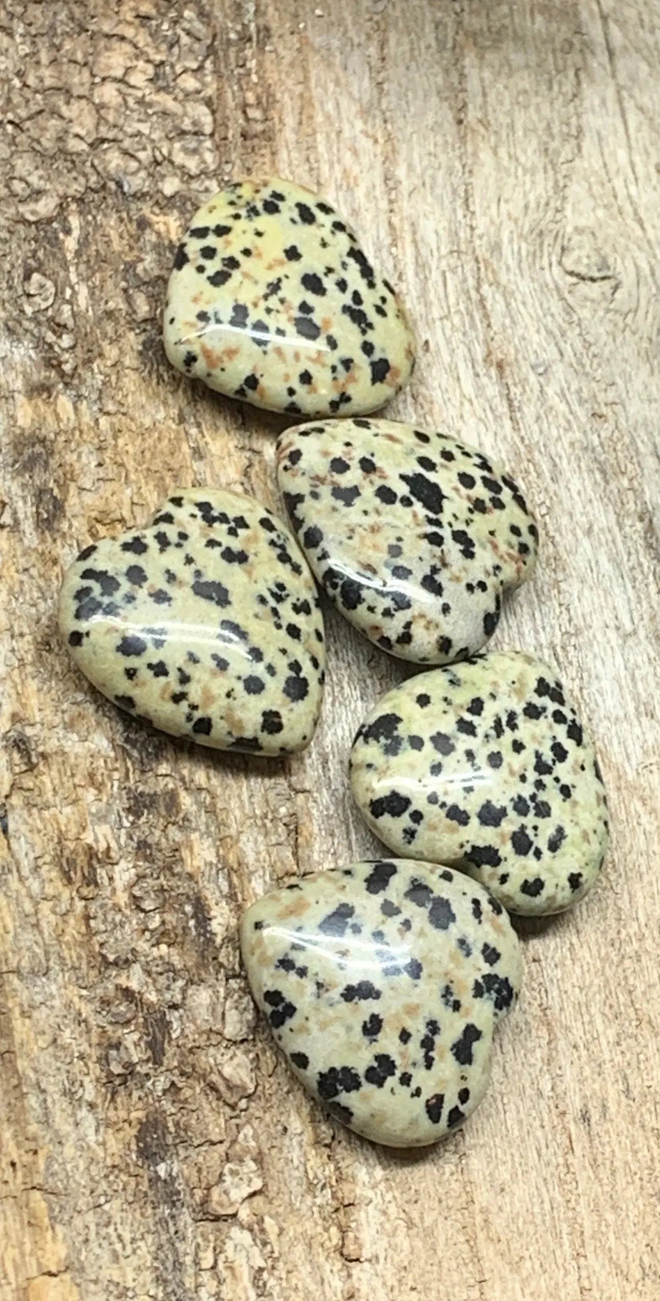 Dalmatian Jasper Heart 25mm 0551 Shop Wholesale Crystals