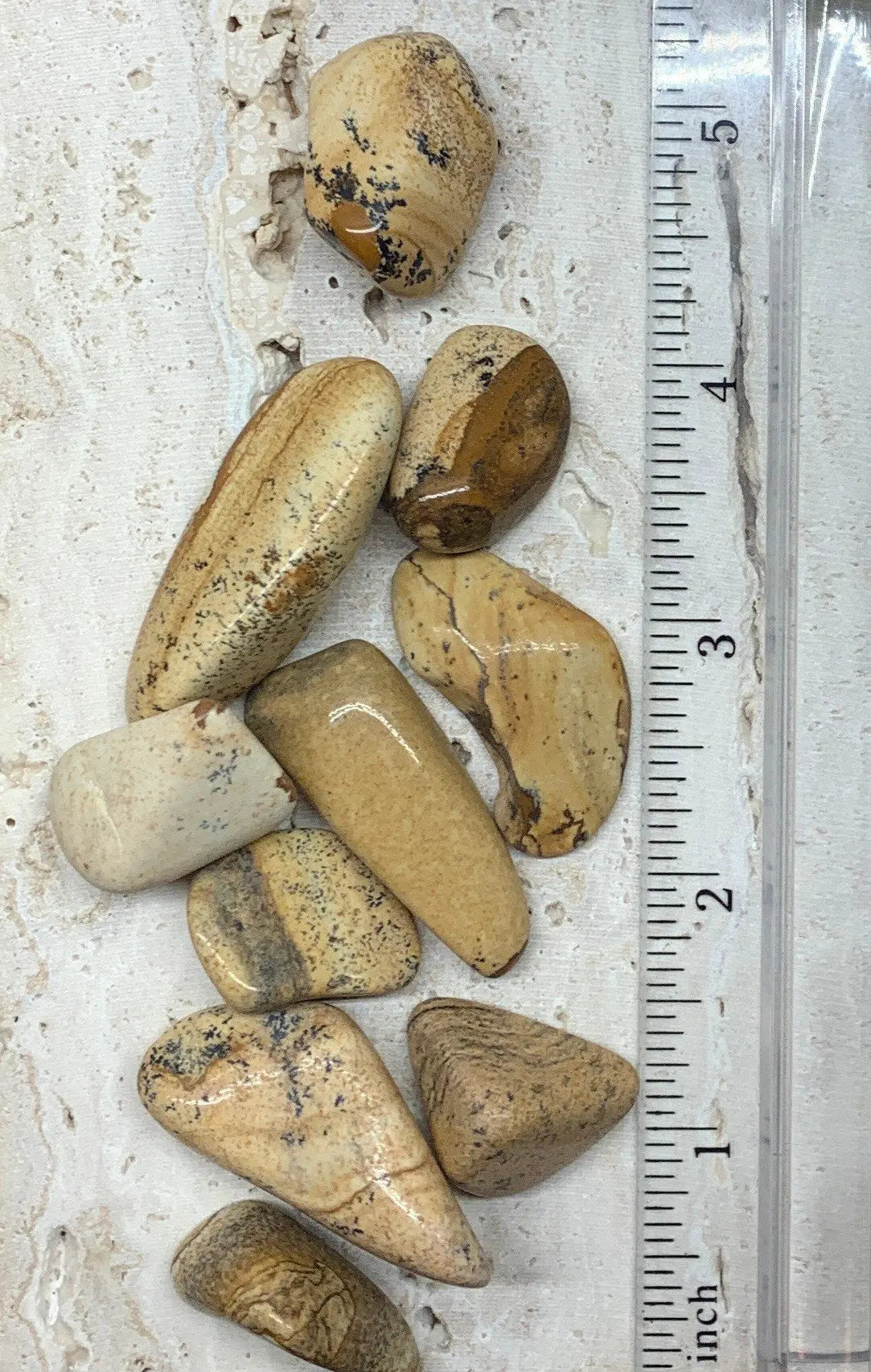 Picture Jasper Tumbled Stone (Approx. 3/4" - 1 1/4") BIN-1314 Shop Wholesale Crystals