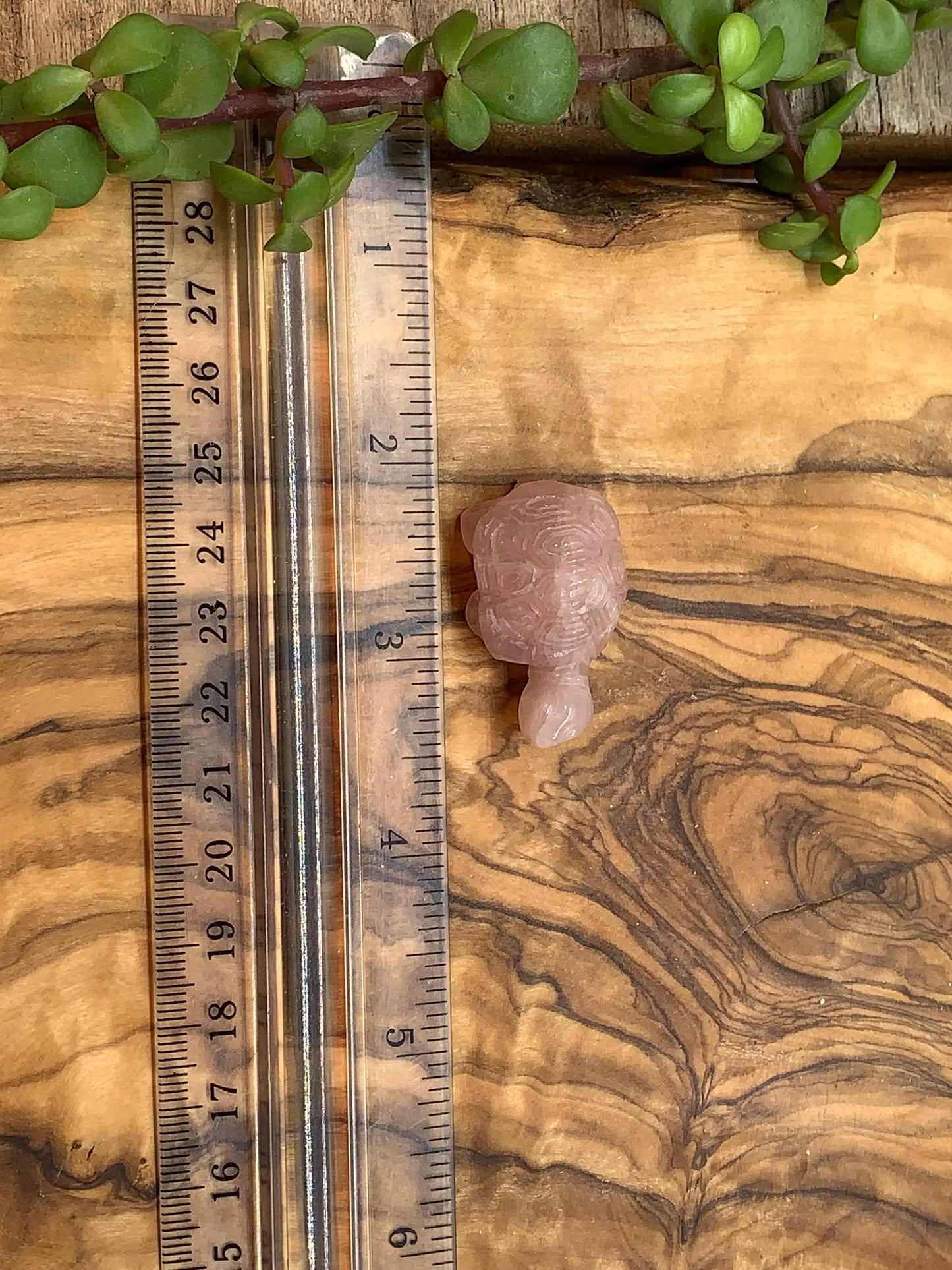 Rose Quartz Turtle (Approx. 1 1/2") 0071 Shop Wholesale Crystals