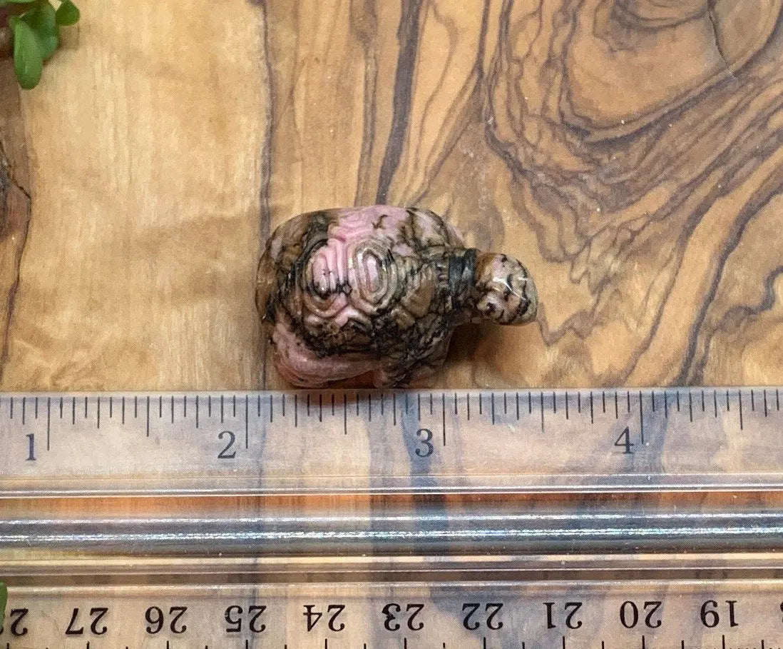 Rhodonite Carved Turtle 0203 Shop Wholesale Crystals