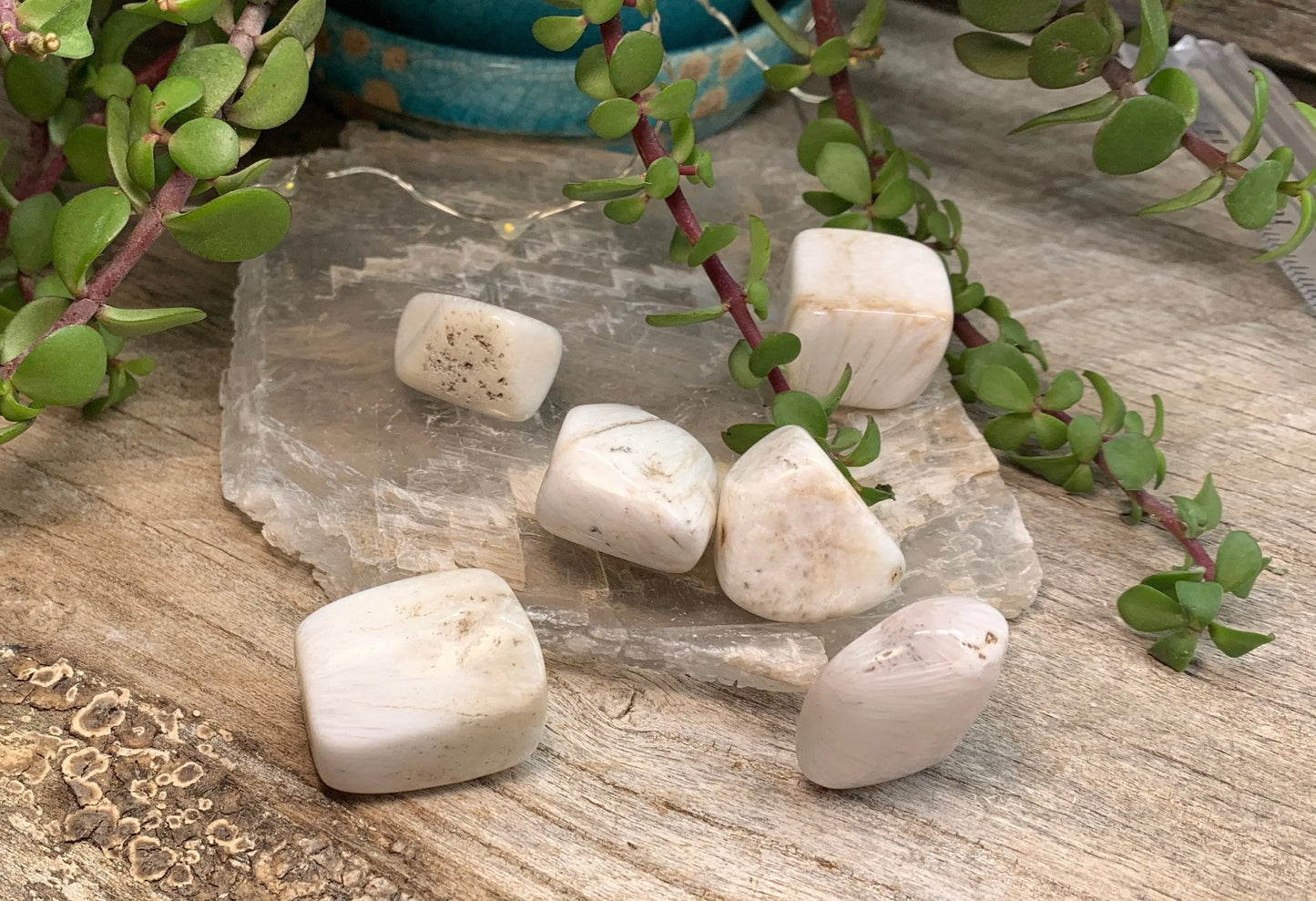 Scolocite Tumble Stone (Approx. 7/8" - 1 1/8") BIN-1344 Shop Wholesale Crystals