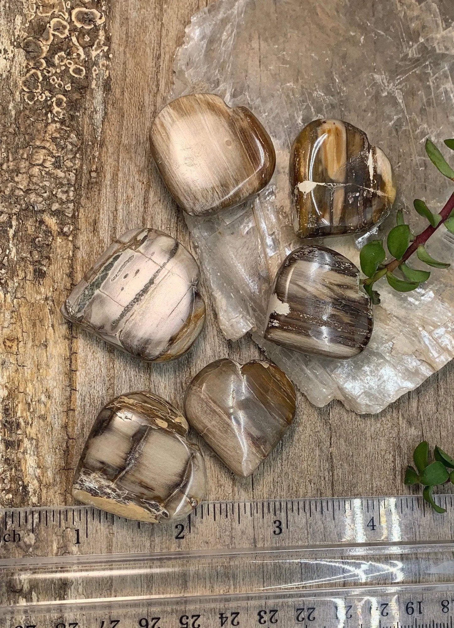 Petrified Wood Heart (Approx. 1"-1 1/4") 0585 Shop Wholesale Crystals