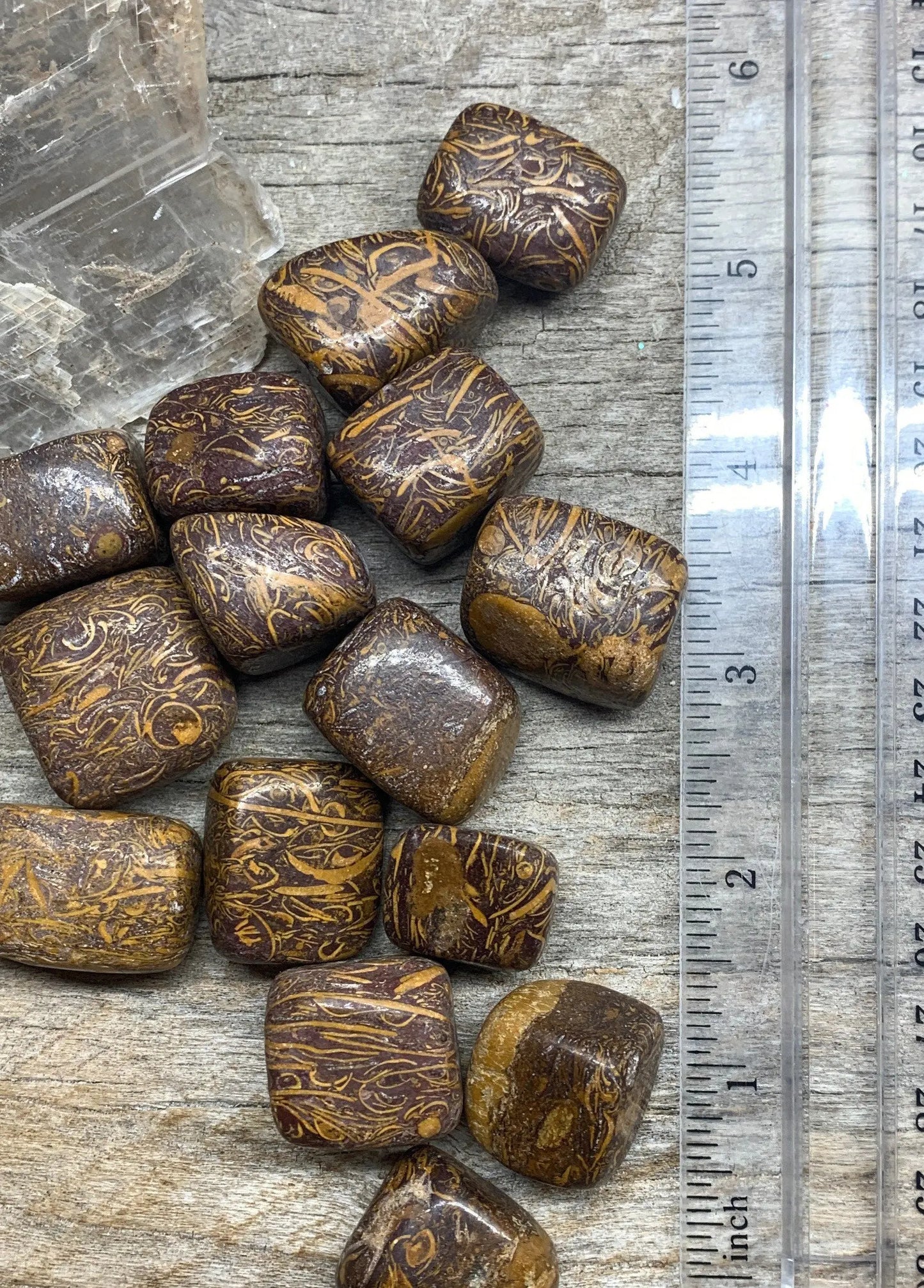 Miriam Jasper, Calligraphy Stone, Elephant Jasper BIN-1365 Shop Wholesale Crystals