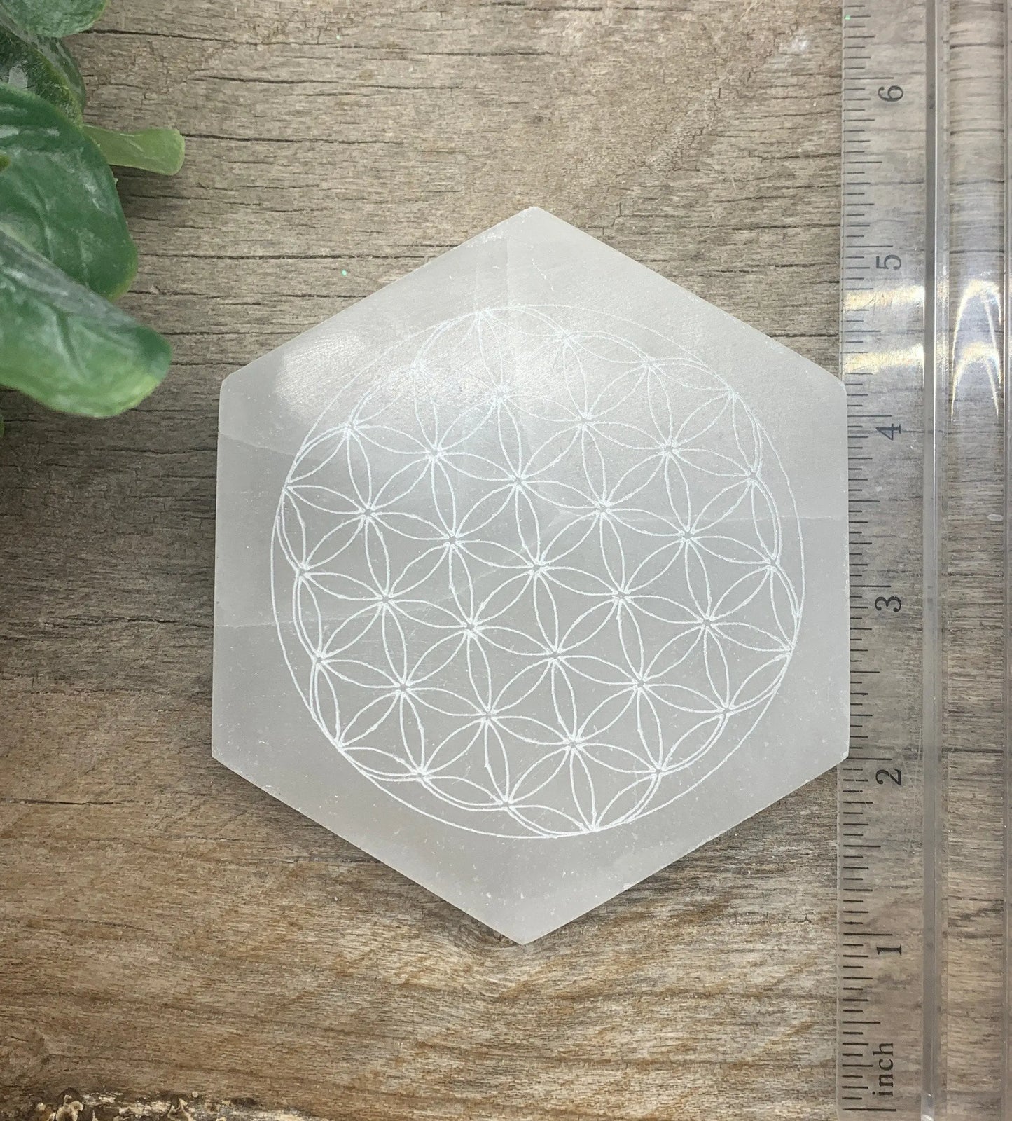 Flower Of Life Carved Selenite Tile 4” Carved Selenite Hexagon S-0064 Shop Wholesale Crystals