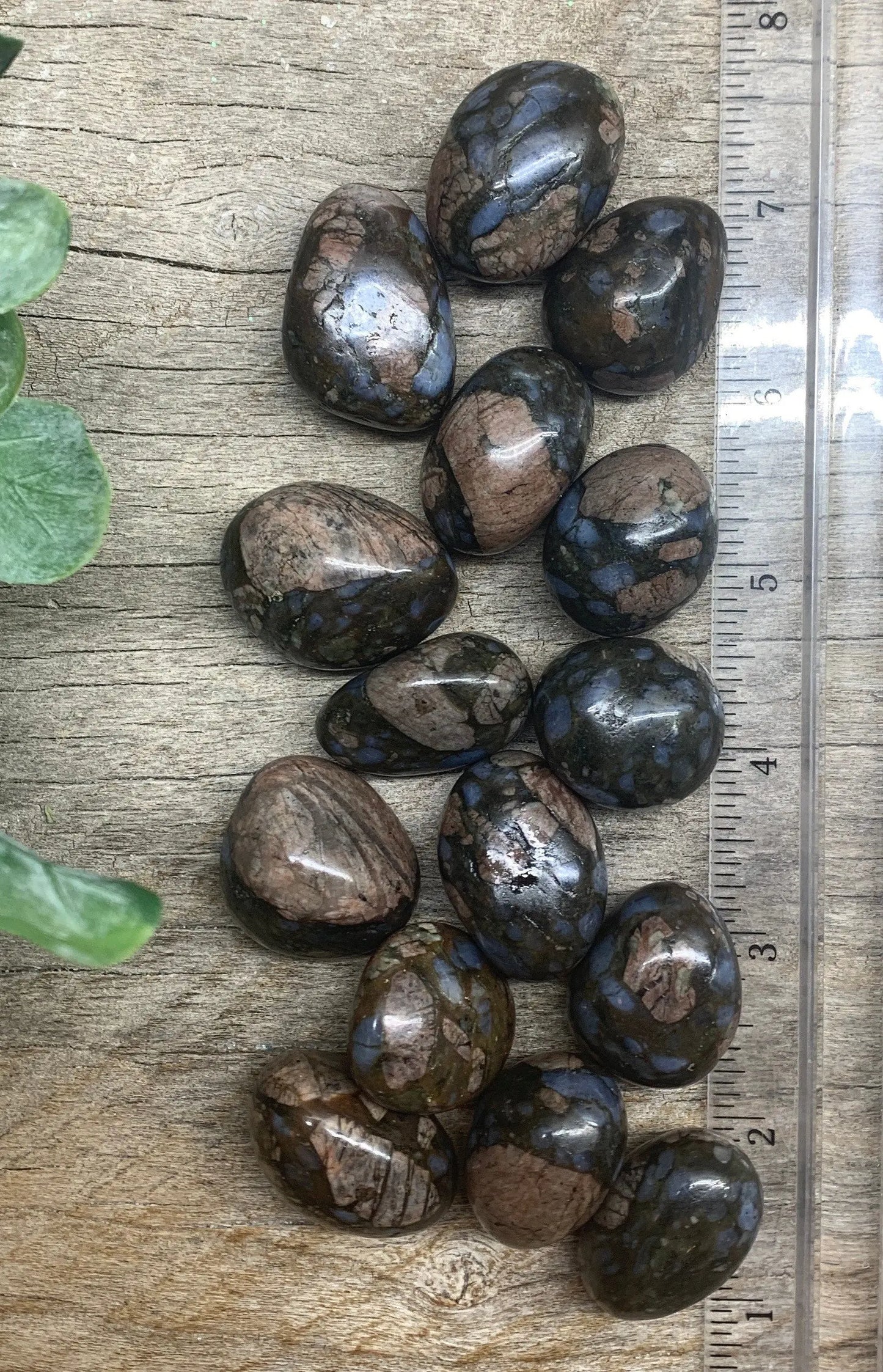 Que Sera Tumbled Stone 1”-1 1/4” BIN-1269 Shop Wholesale Crystals