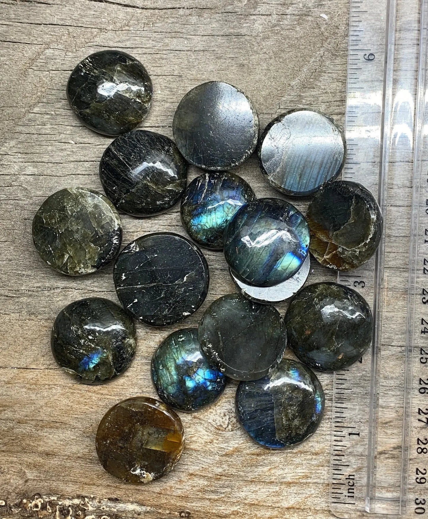 Labradorite 1” Disk BIN-1467 Shop Wholesale Crystals