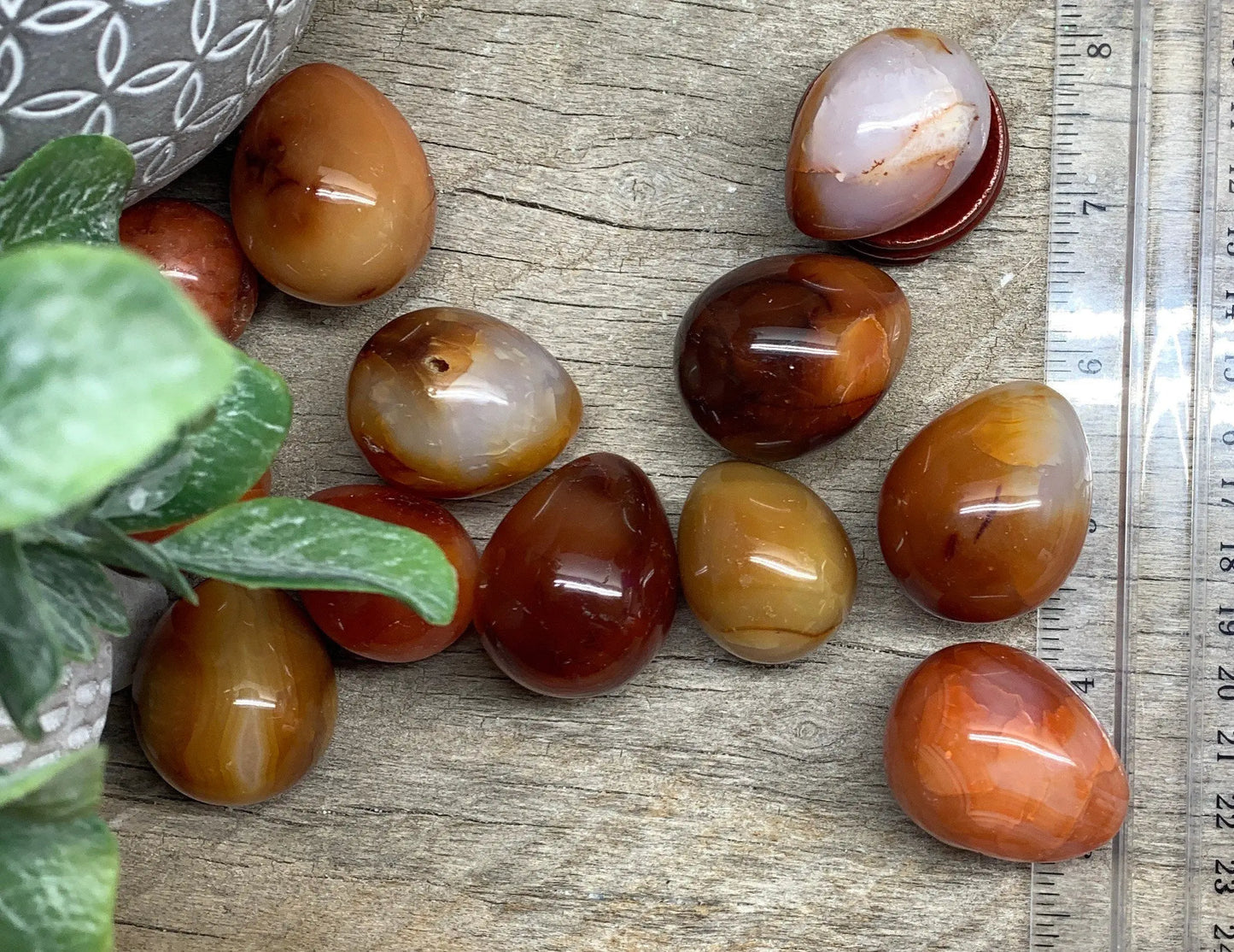 Carnelian Agate Egg, Beautiful, Creativity Stone 1 1/8”-1 1/2” 1546 Shop Wholesale Crystals