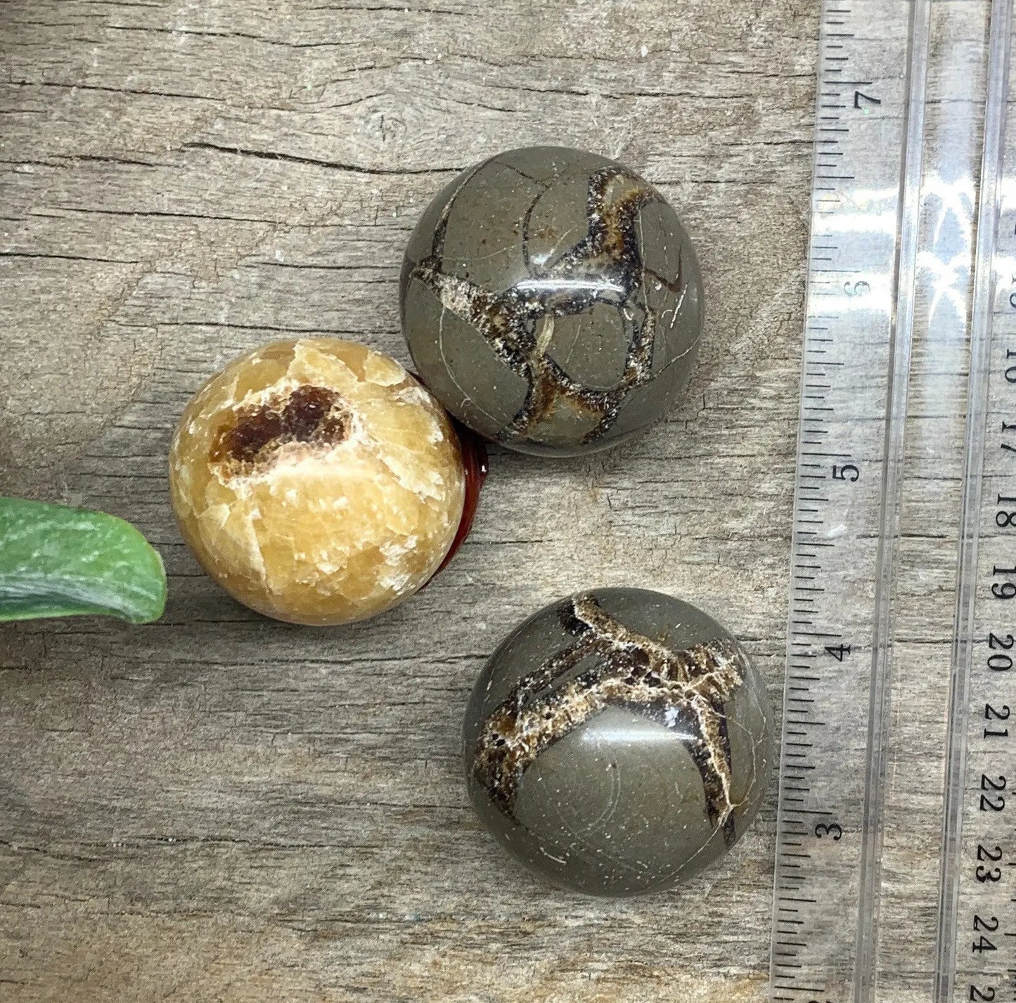 Septarian Nodule Sphere Approx 40mm-45mm 0313 Shop Wholesale Crystals