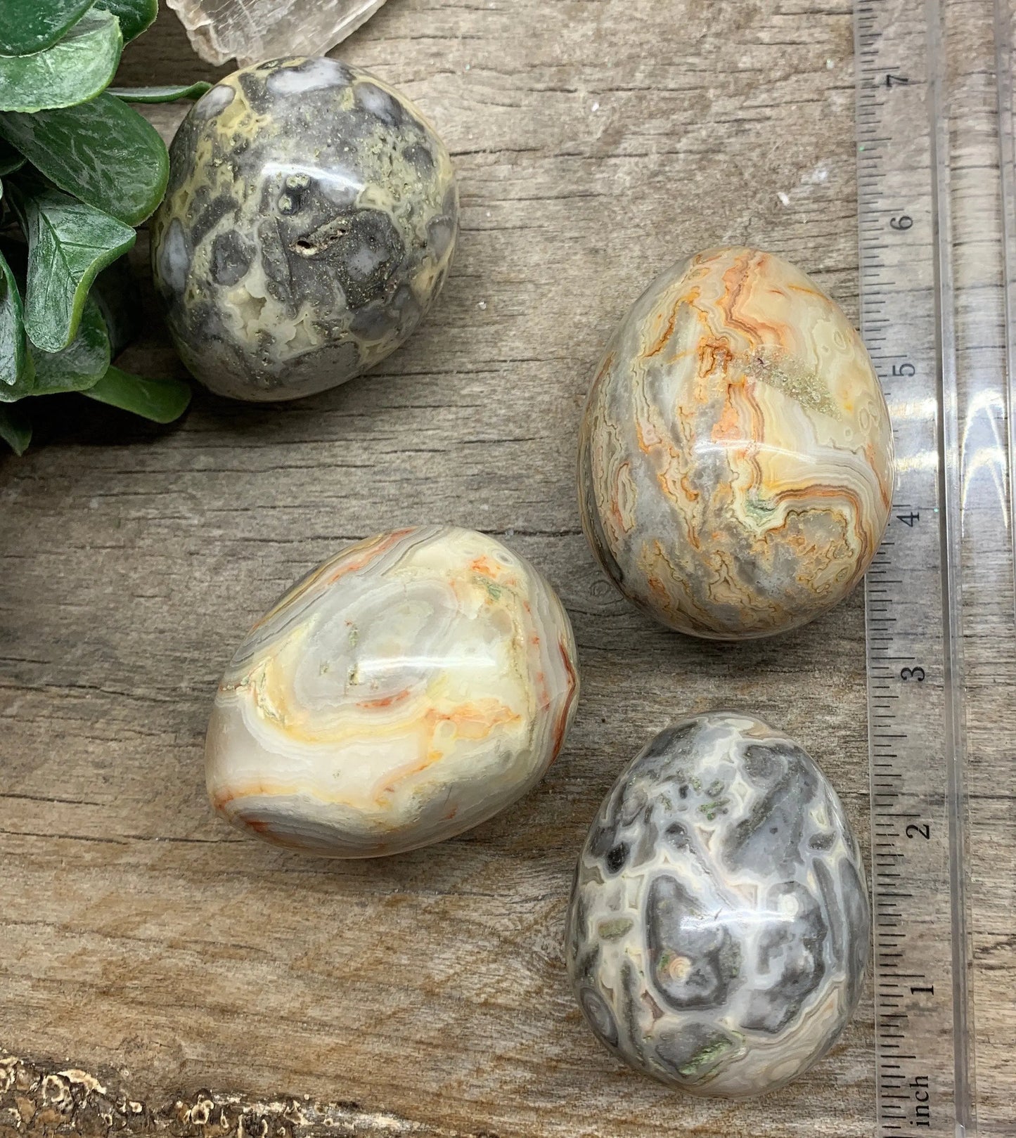 Crazy Lace Agate Egg 2” 1549 Shop Wholesale Crystals